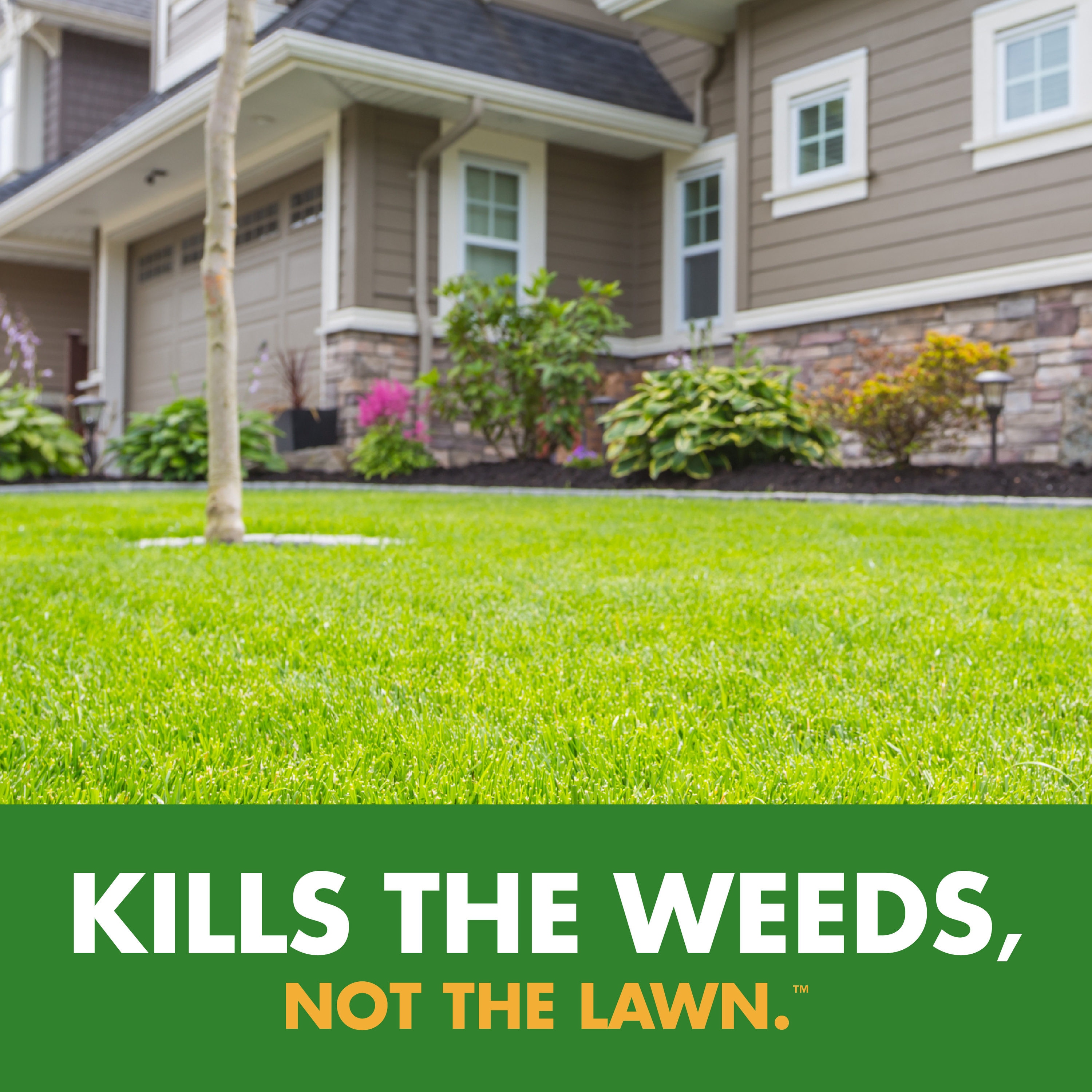 Spectracide HG-95703 Weed-Killers - View #13