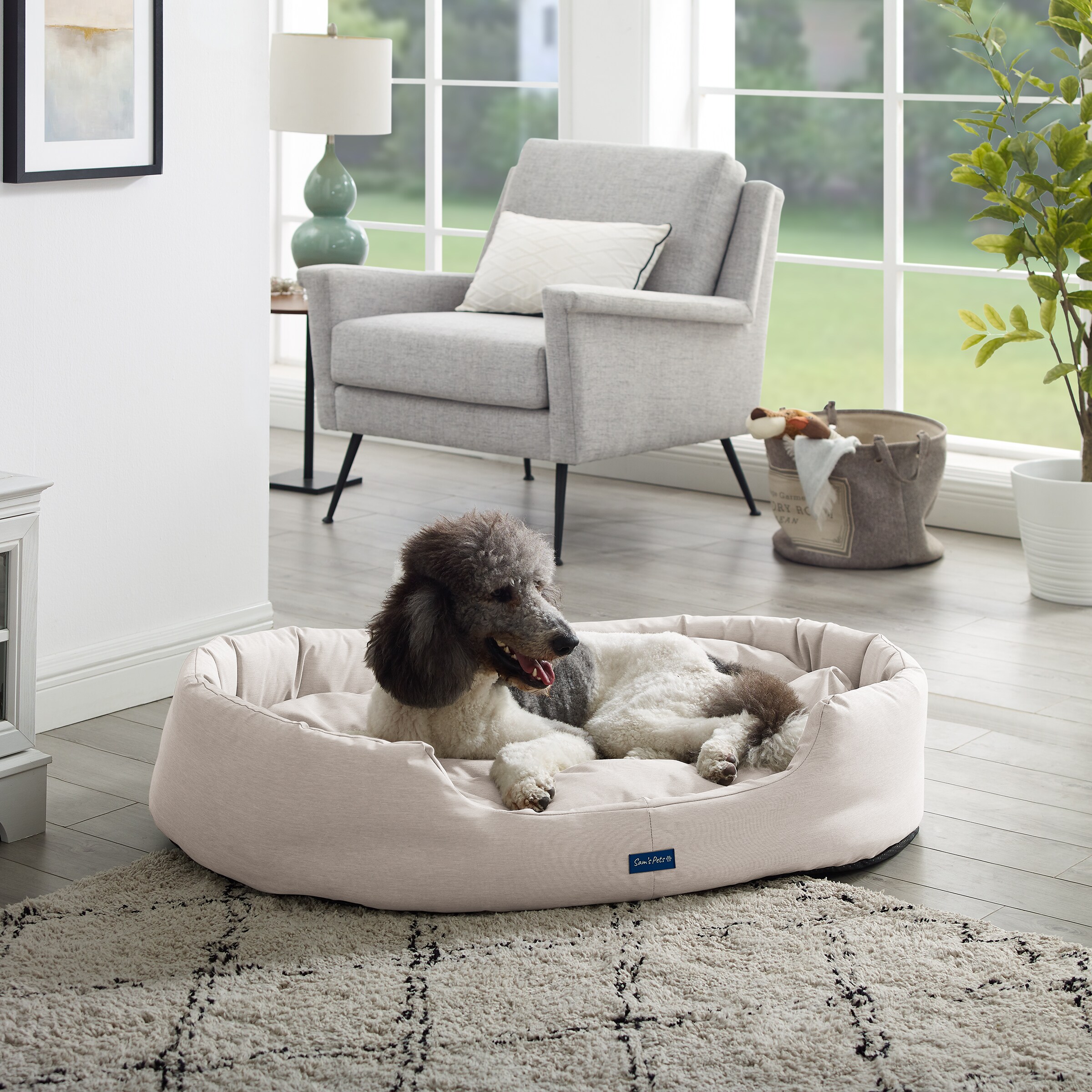 Large round 2024 dog bed