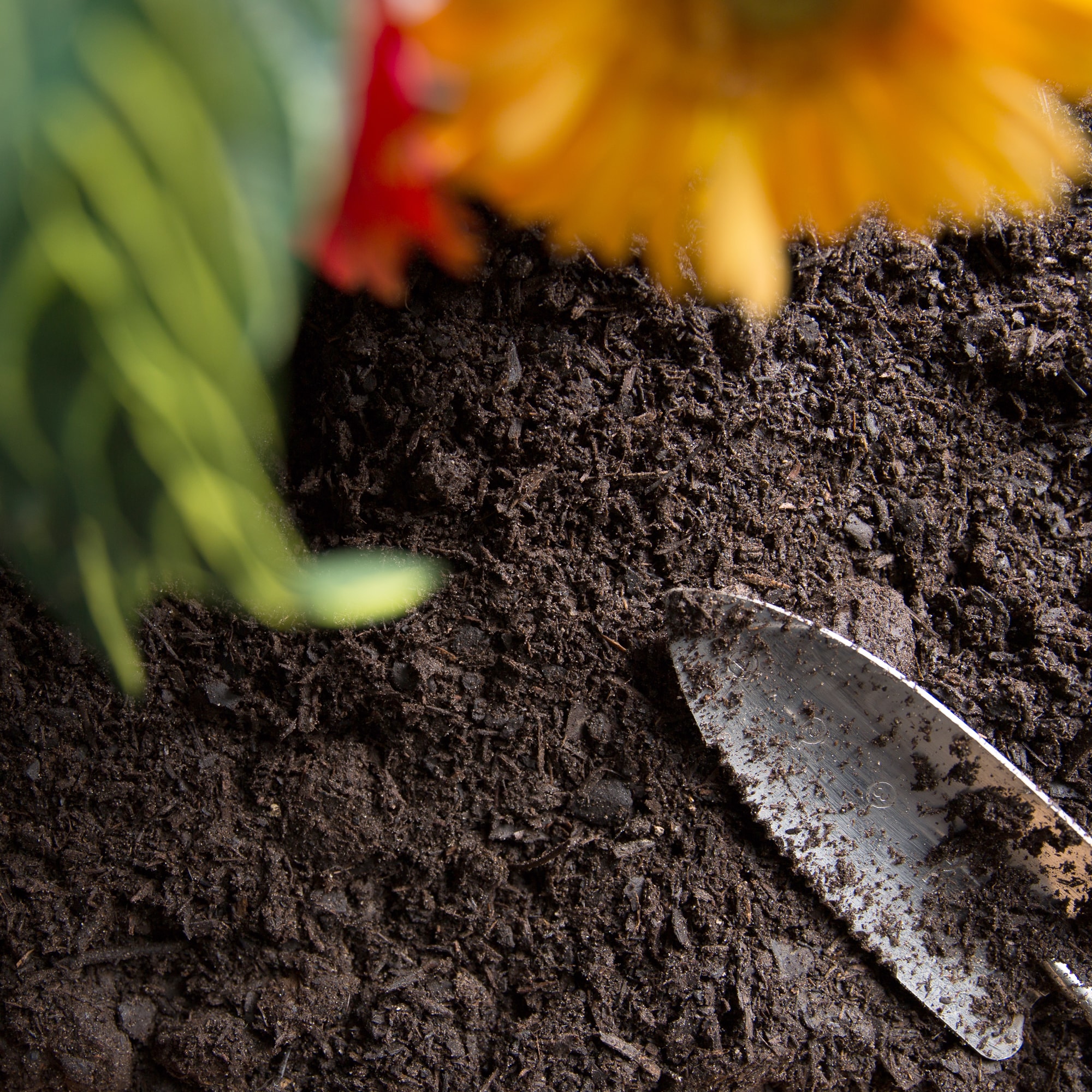 Seaside Mulch 4289 Soil-Conditioner - View #5