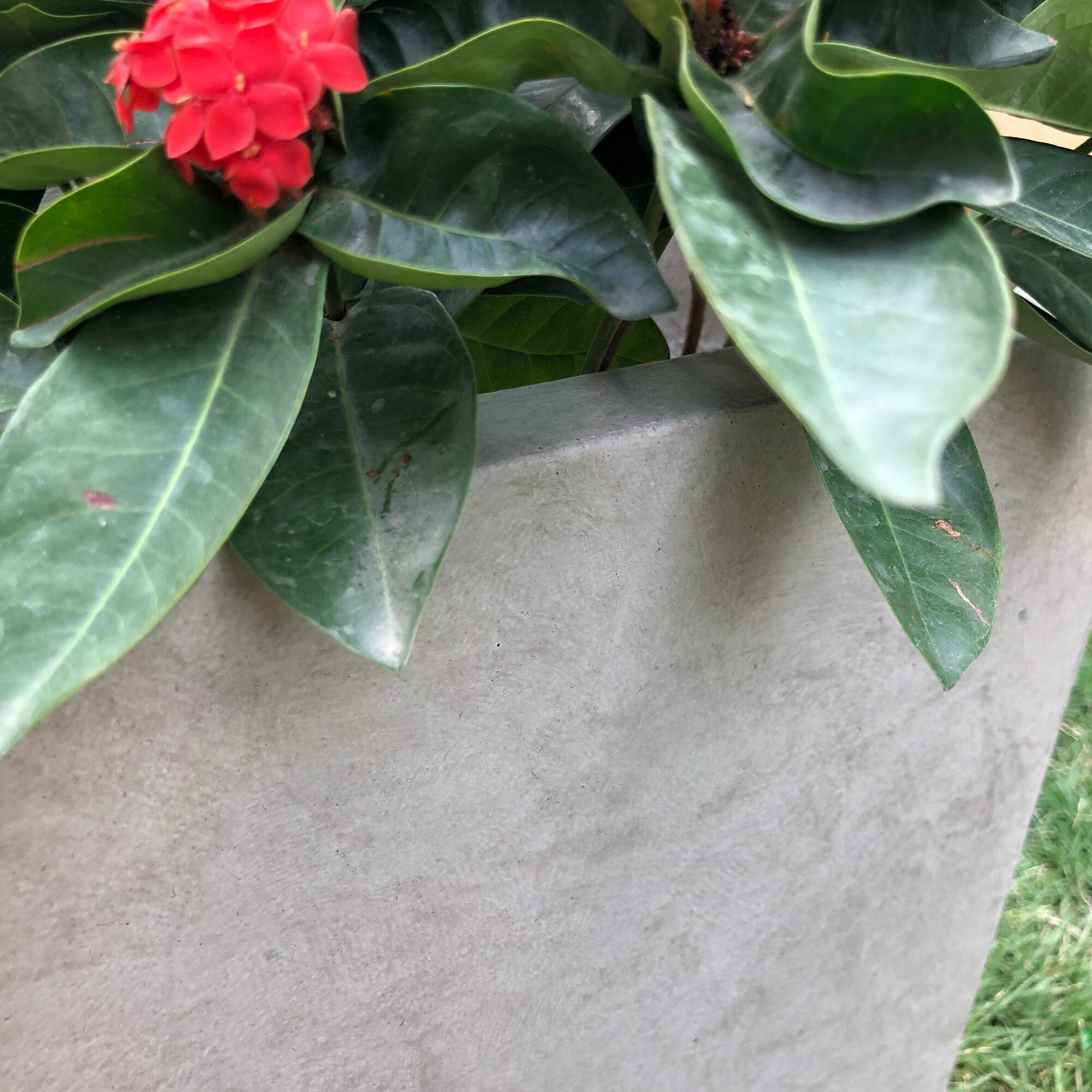 KANTE RF0104B-C80021-2 Planter-Window-Box - View #4