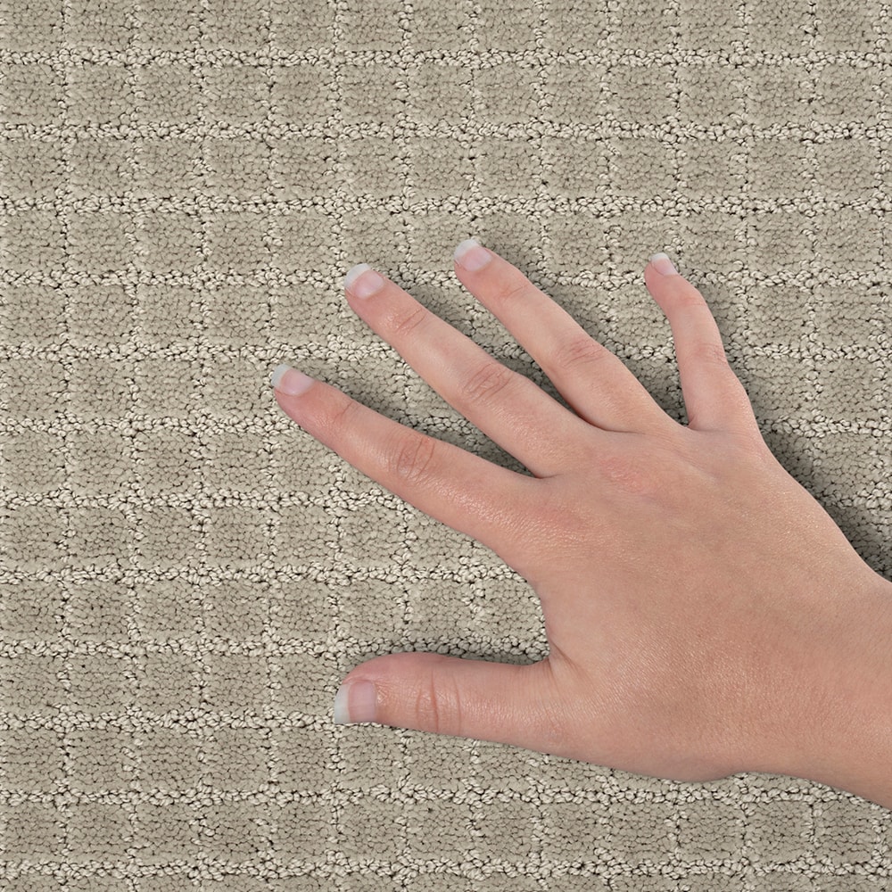 Style Selections SS032-L008-0808 Carpet-Samples - View #4