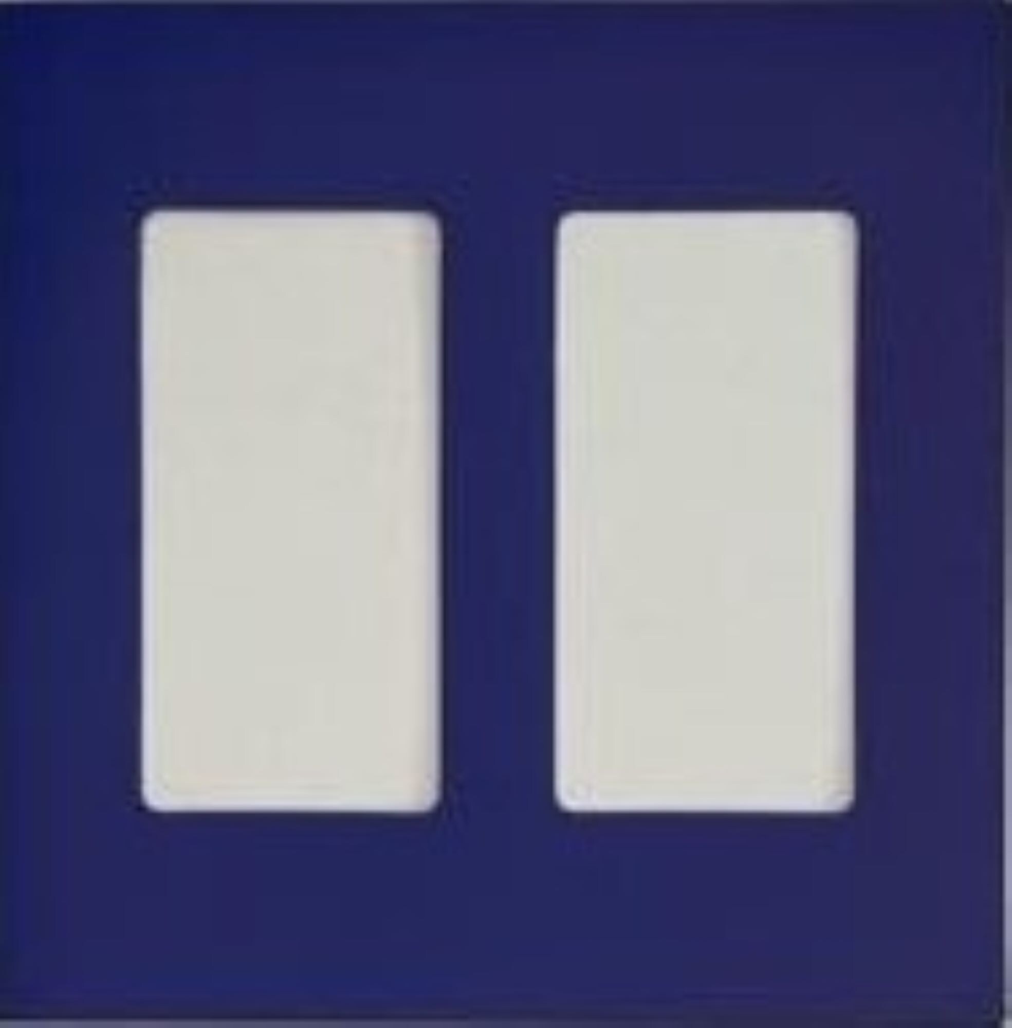 Switch Ups 100064 Reflex Blue 2-Gang Jumbo Size Magnetic Reflex Blue Polyresin Indoor Decorator Wall Plate