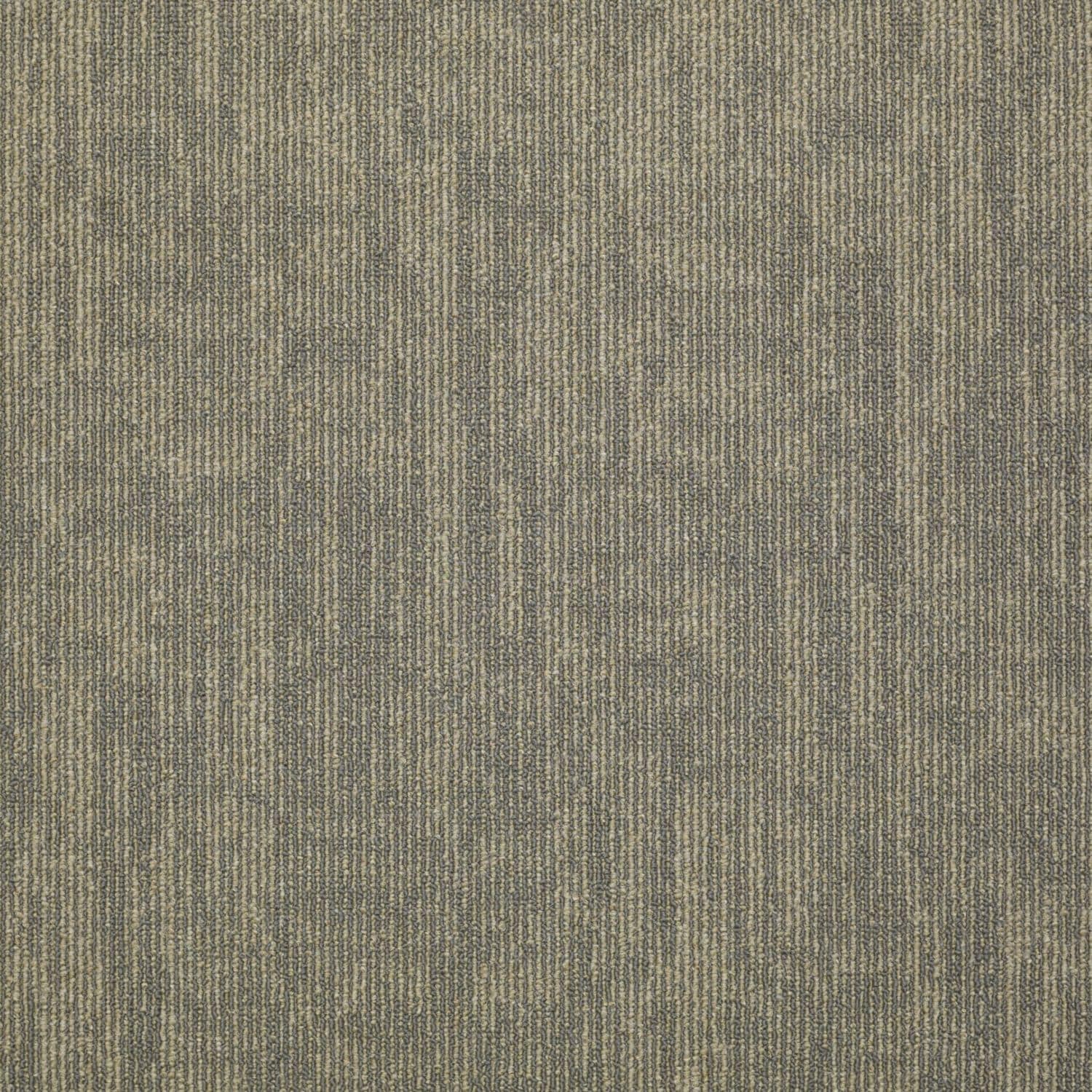 Shaw 7L80806503 Double Take 24-in x 24-in Transfer Gray Commercial Adhesive Indoor Carpet Tile ( 48-Sq. Feet )
