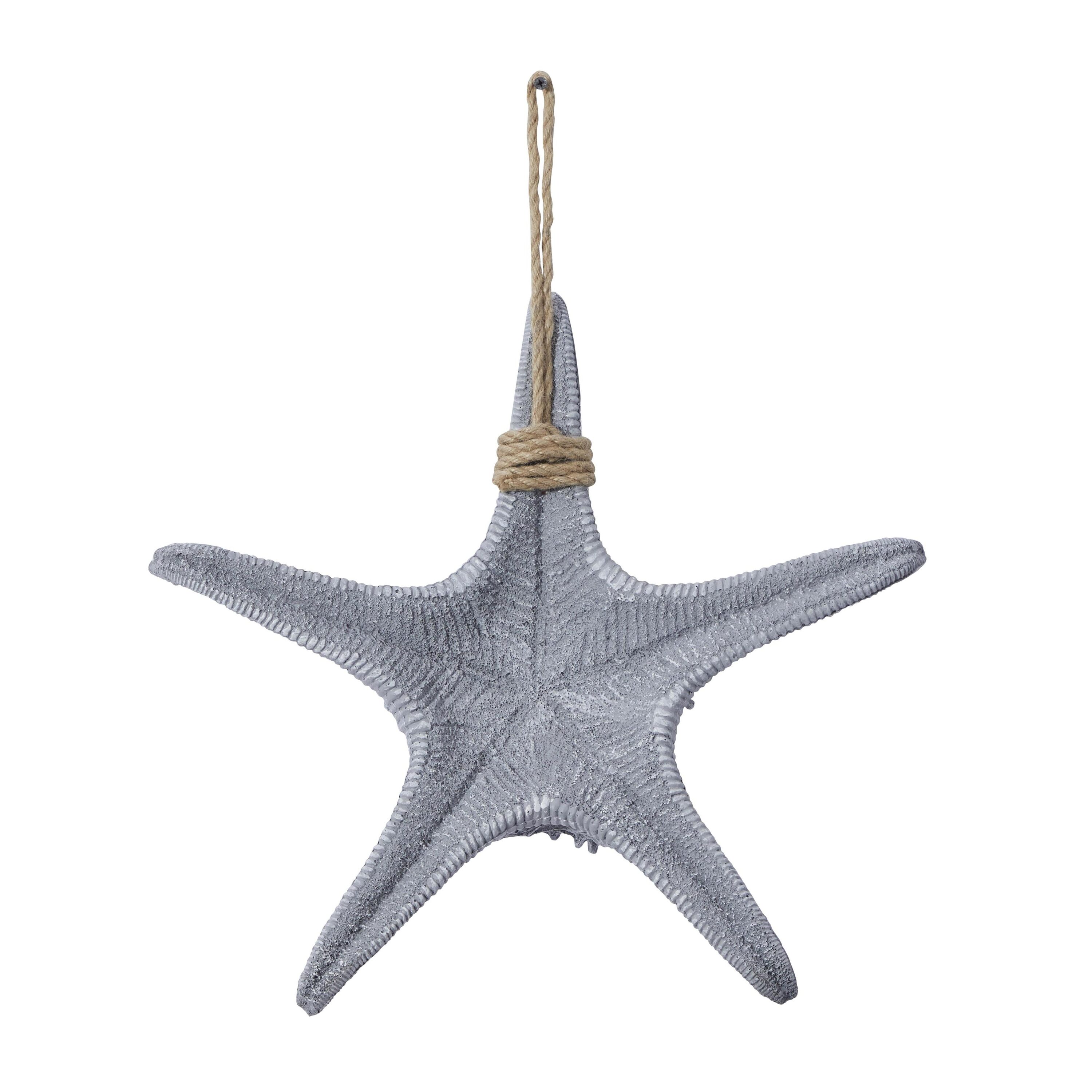 Gray Resin Starfish Wall Sculpture with Twisted Cord Accent