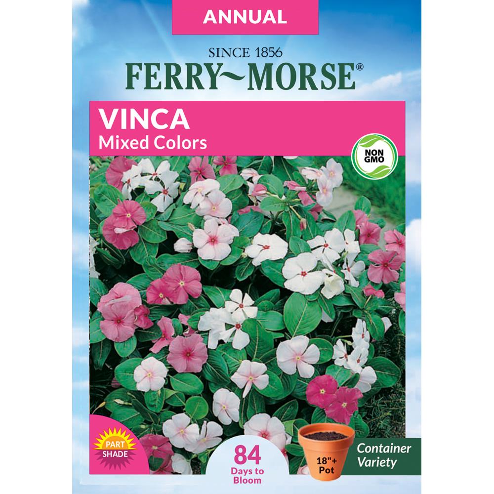 Ferry Morse Ferry Morse 20 Milligrams Vinca Mixed Colors Flower Seeds  Seed Packet