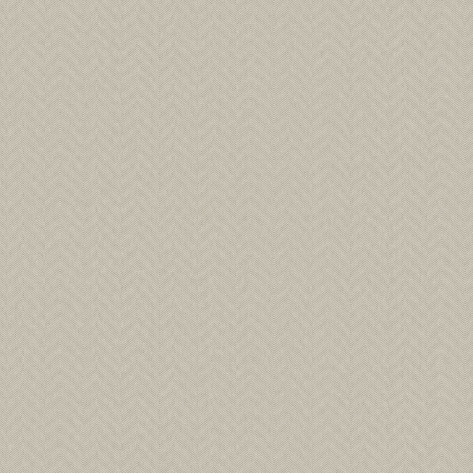 Designer Colors Beige Diagonal Texture Wallpaper DC30102