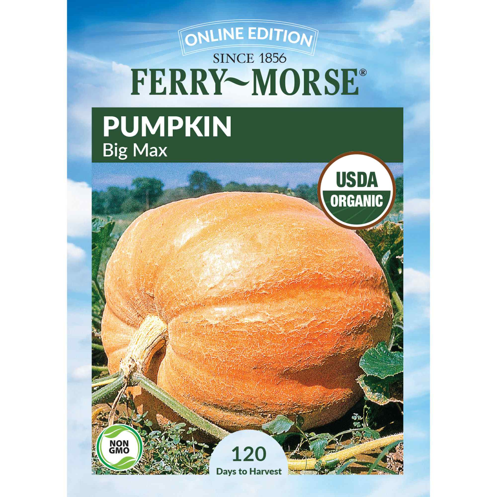 Ferry-Morse LC25.1407 Organic Pumpkin Seeds 4.4 Gram(s)