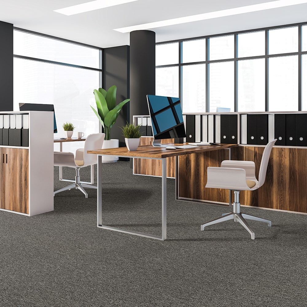  LC76-12-L002 Carpet-Panel - View #2