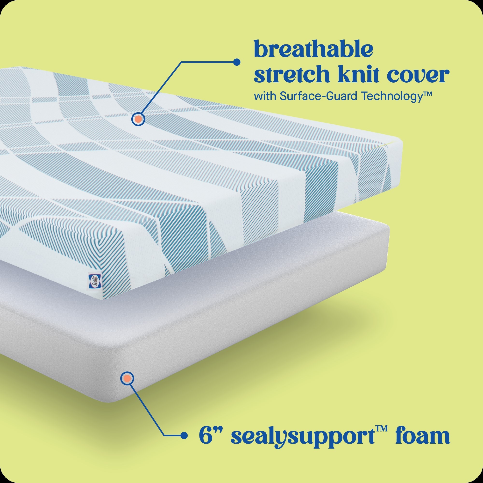 Sealy F03-00242-TX0 Mattresses-Boxsprings - View #5
