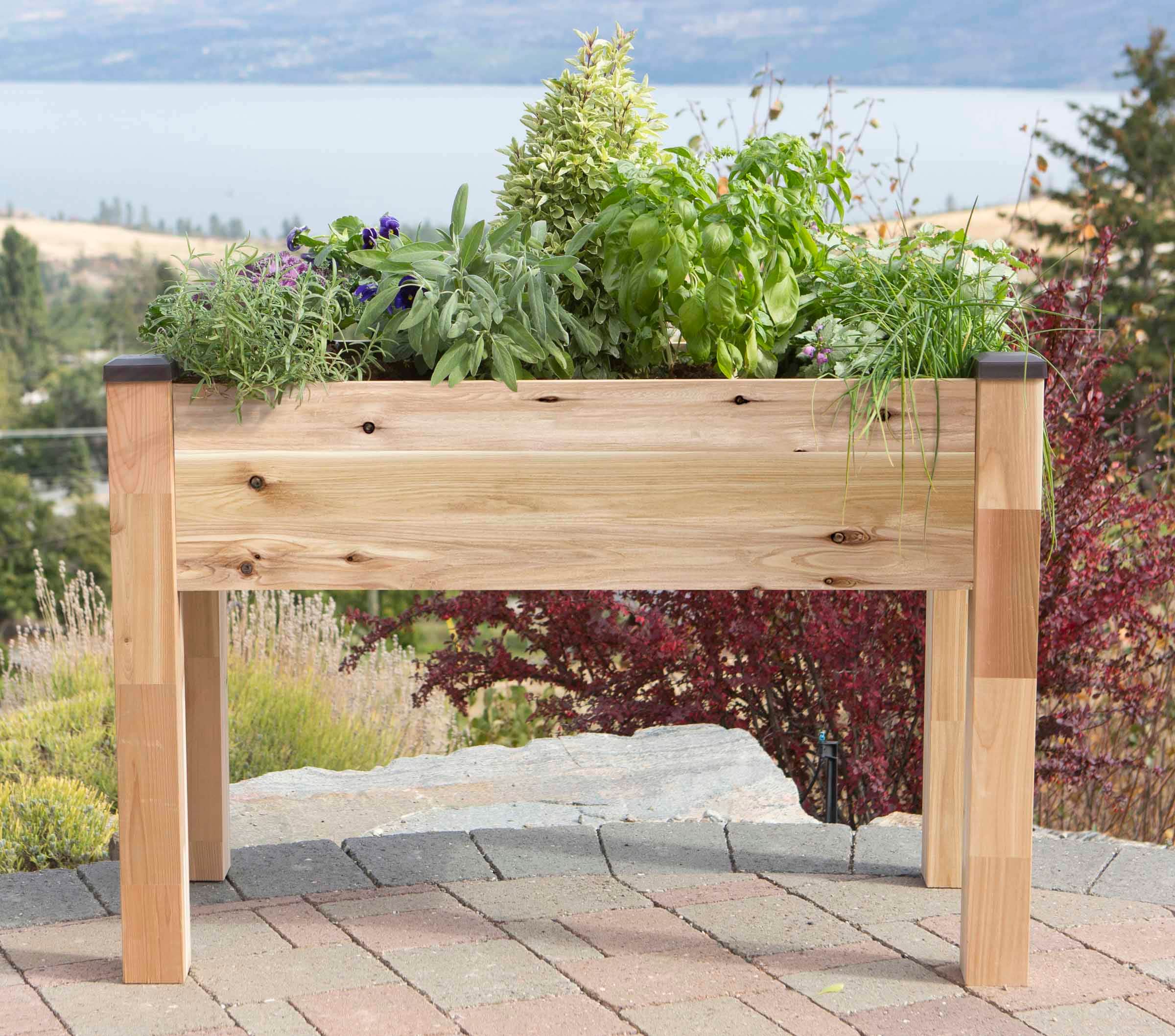 CedarCraft CCELV3449C Raised-Garden-Beds - View #2