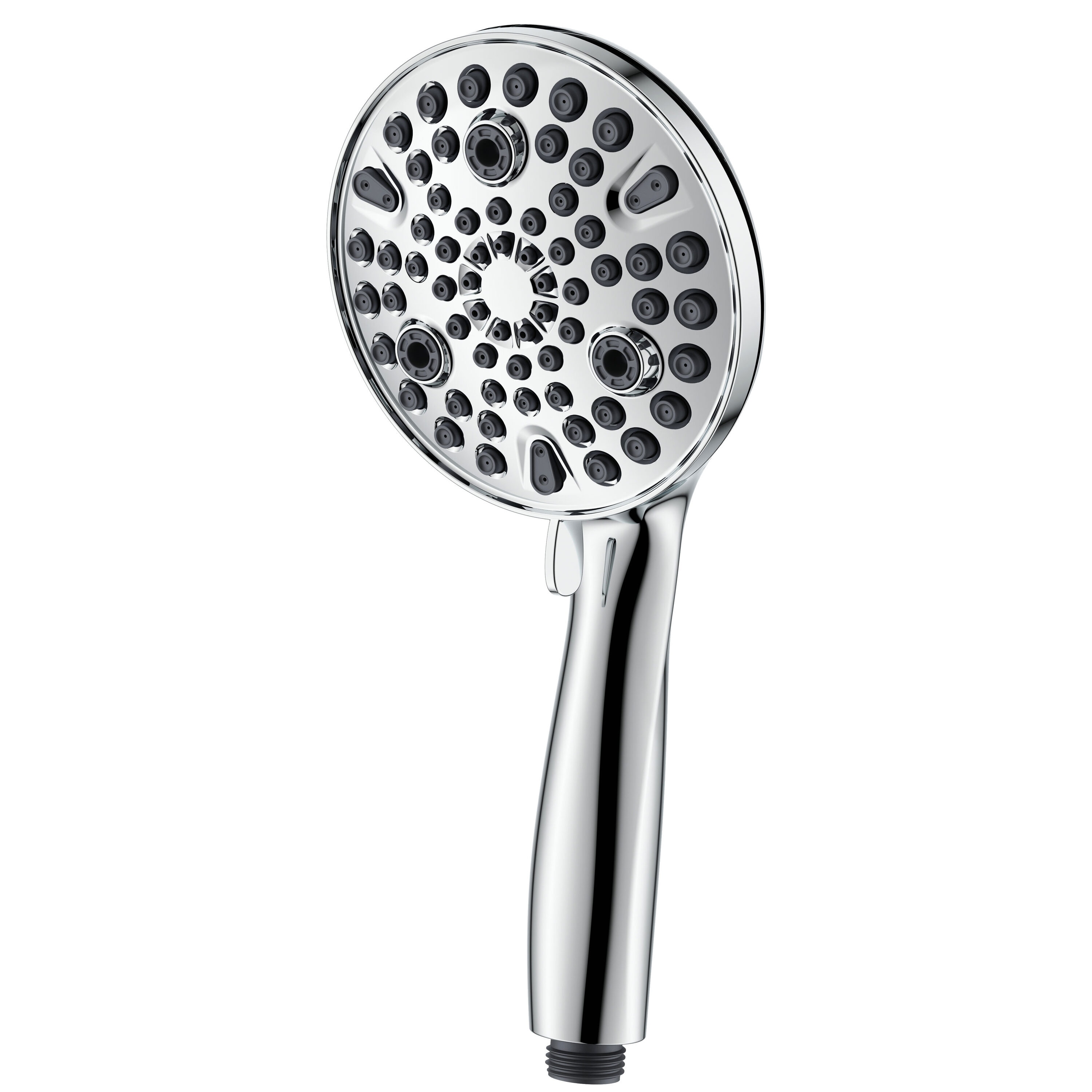 Chrome 10-Function Handheld Shower with Filter and Wall Mount