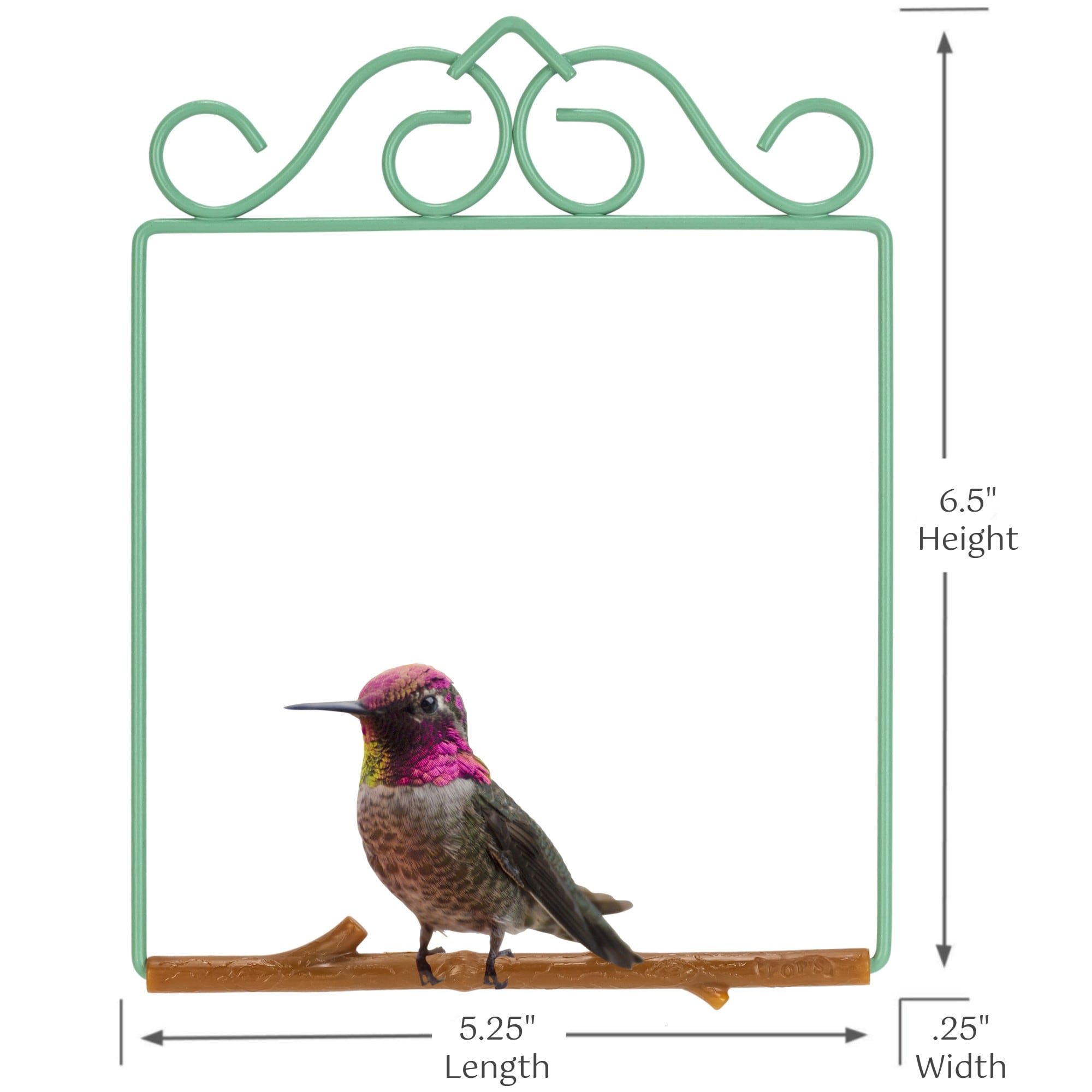Pop's Birding OGVC-BR Bird-Feeder-Accessories - View #6