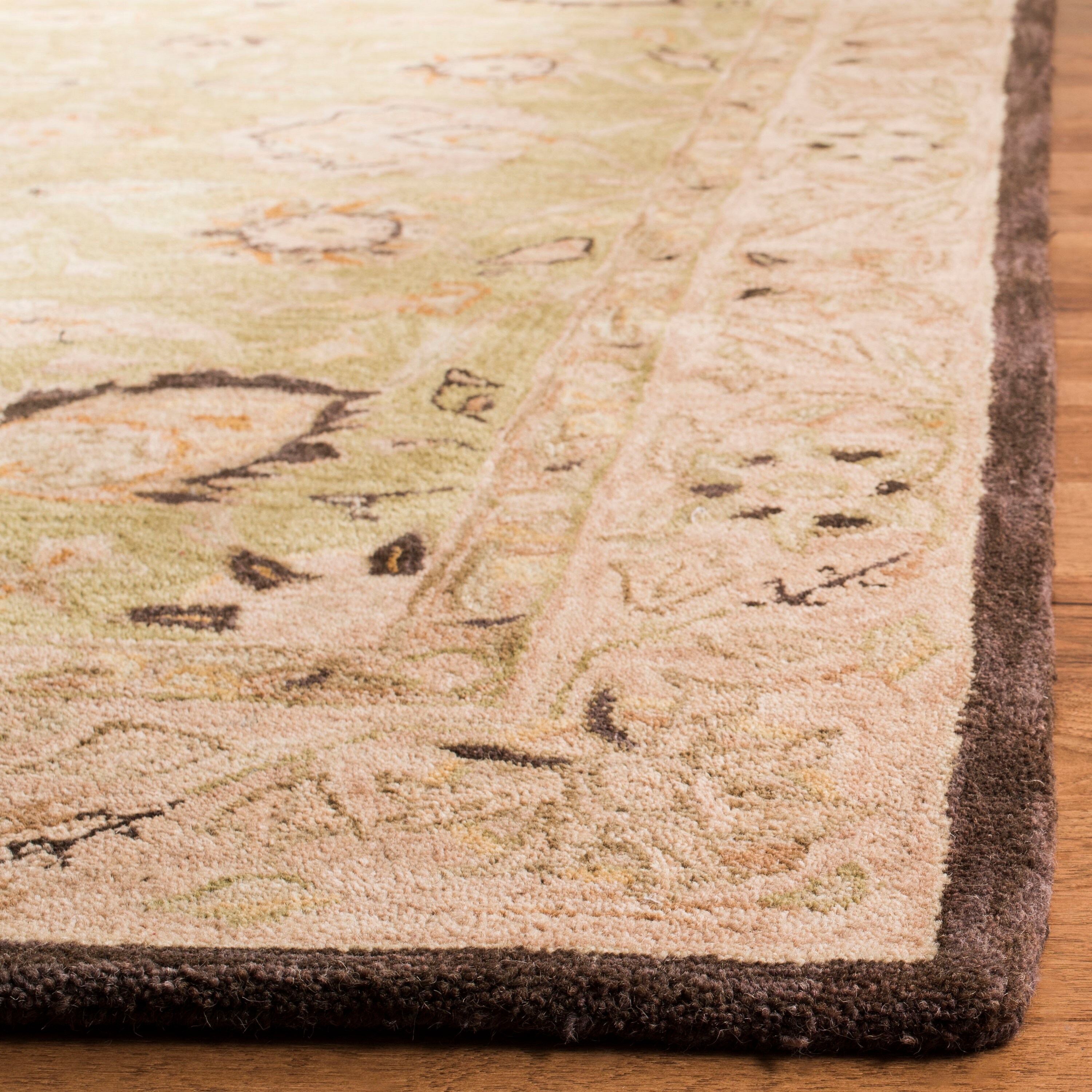 Safavieh AN512C-10 rugs - View #4