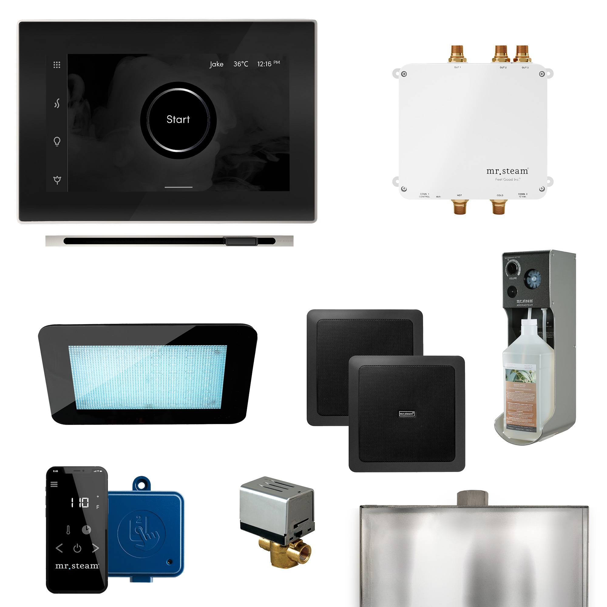 Mr. Steam BLS-BKLPN Bliss Linear 600-Watts Polished Nickel Steam generator control kit