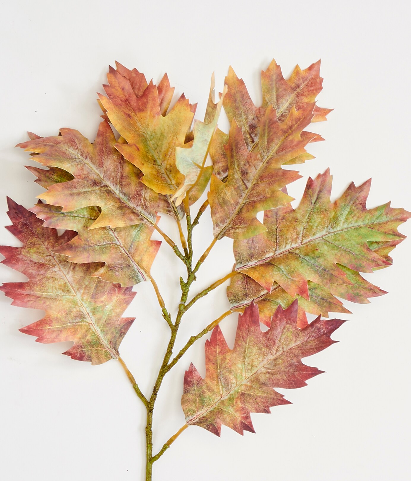 Worth Imports 9891 Indoor-Thanksgiving-Decor - View #2
