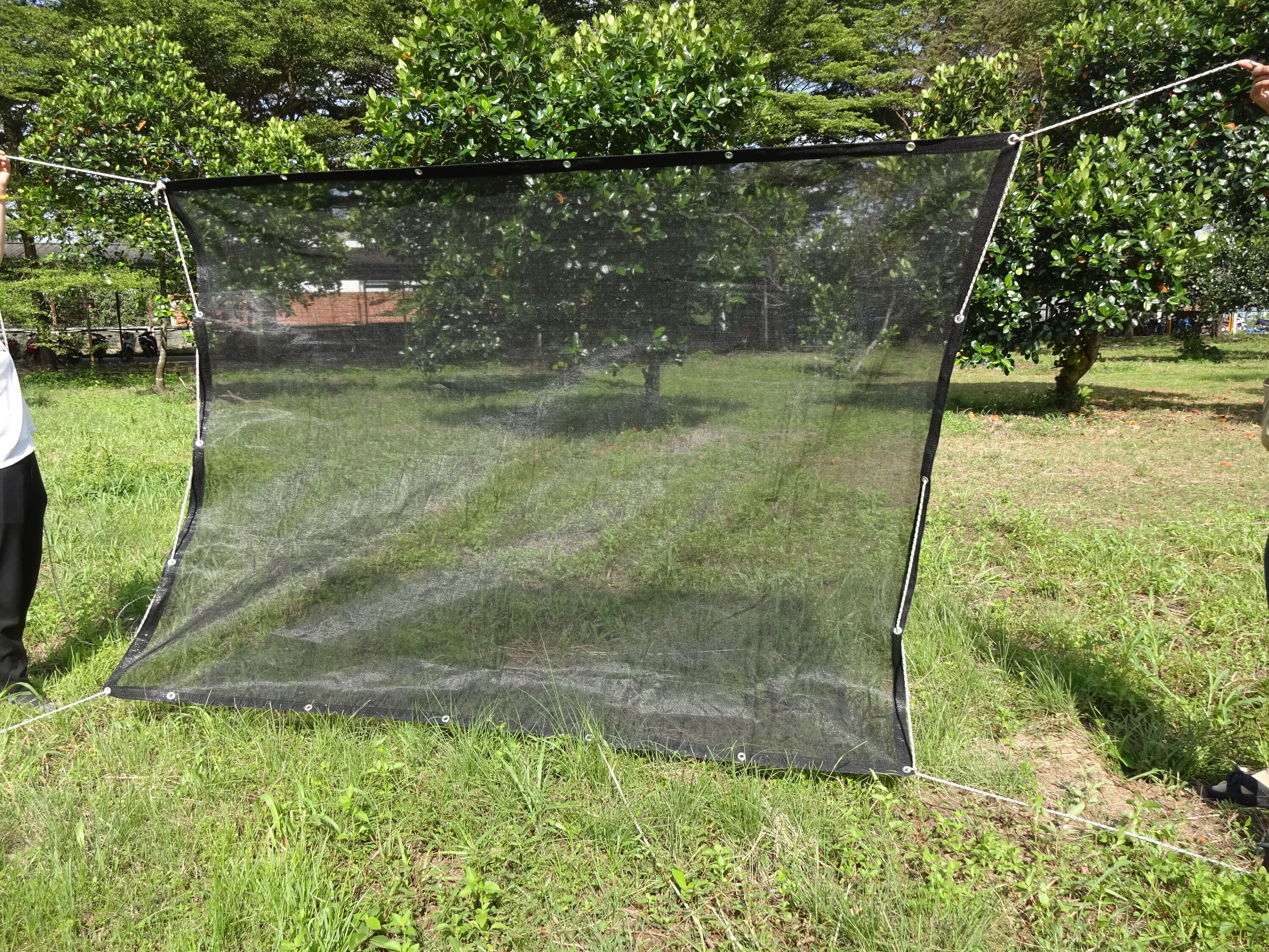 Project Source CHST8X10-NET tarps - View #4