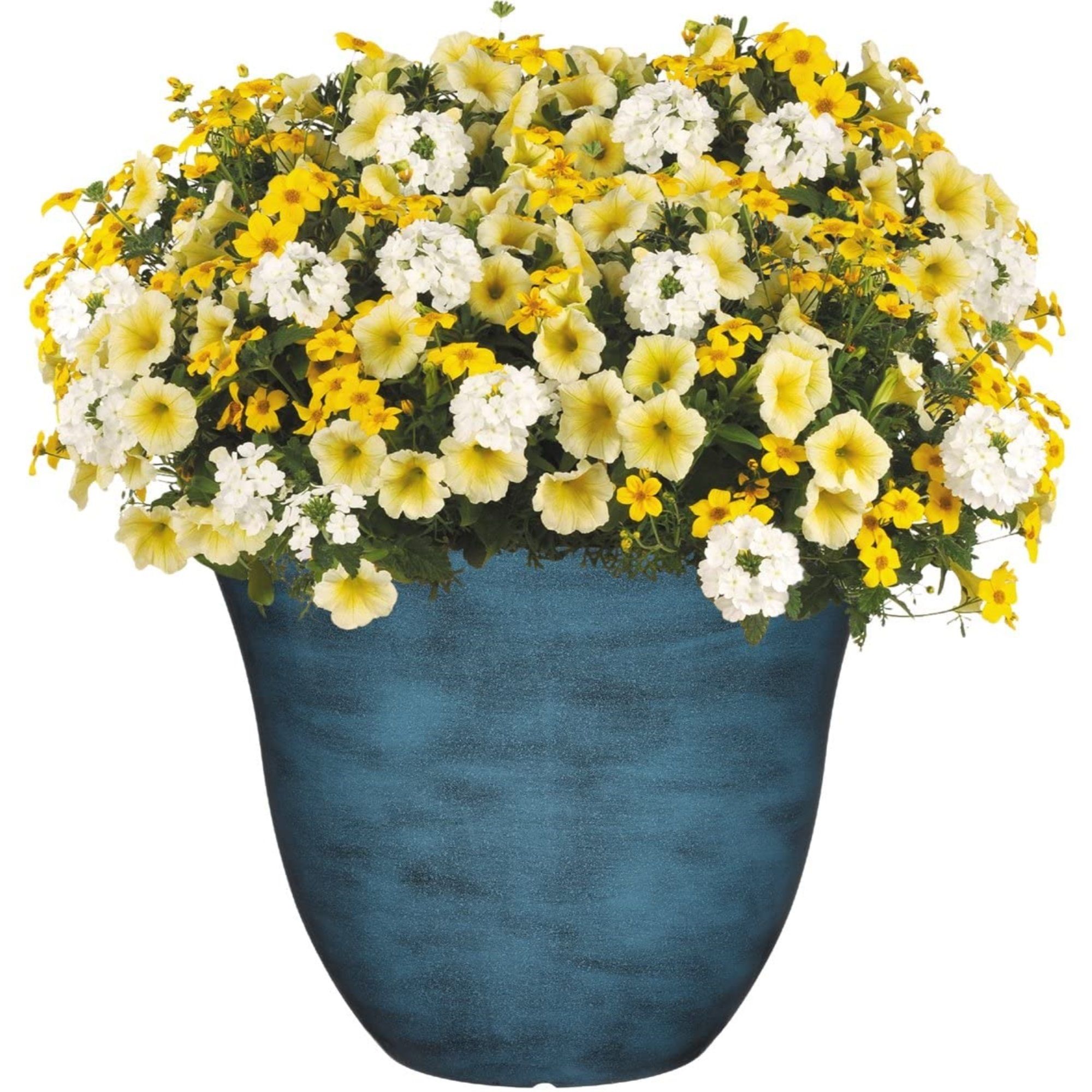 Classic Home & Garden 810021101262 Planter-Window-Box - View #3