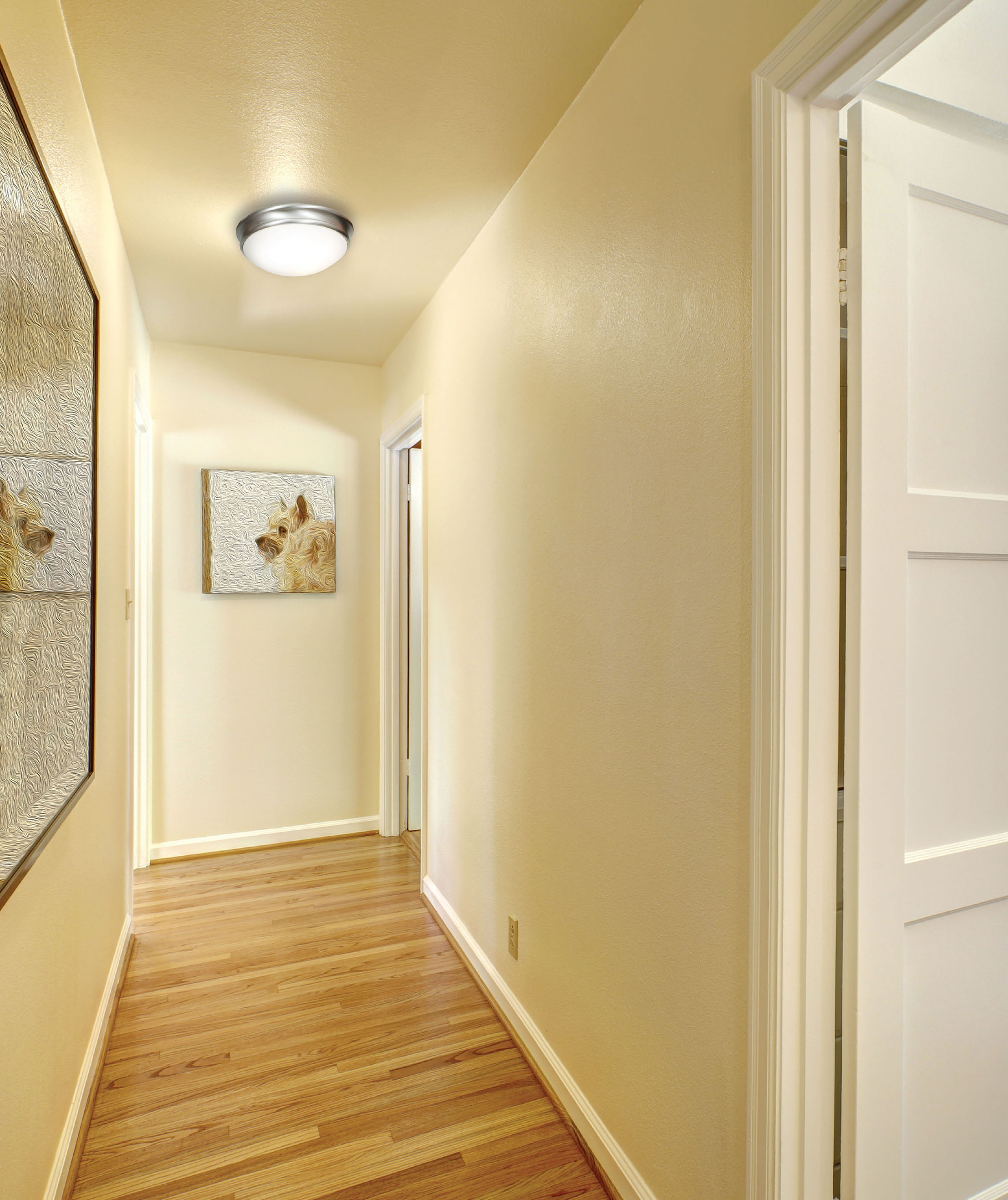 Access Lighting 20726-BS/OPL flushmounts - View #7