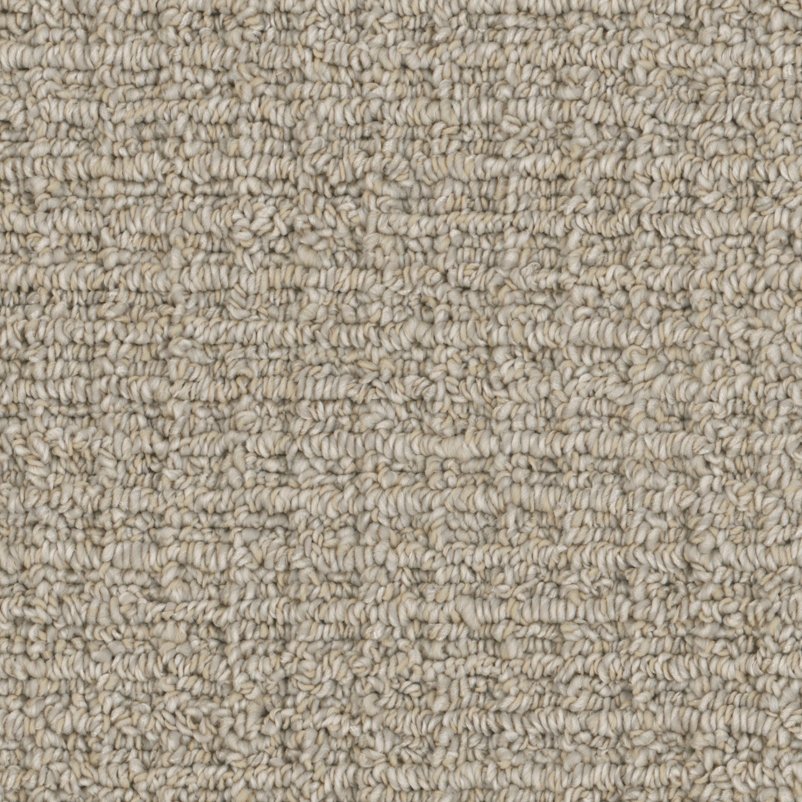 STAINMASTER S9640-711-1200-MO Tapestry Tether Multi-Colored 40-oz sq yard Polyester Pattern Indoor Carpet