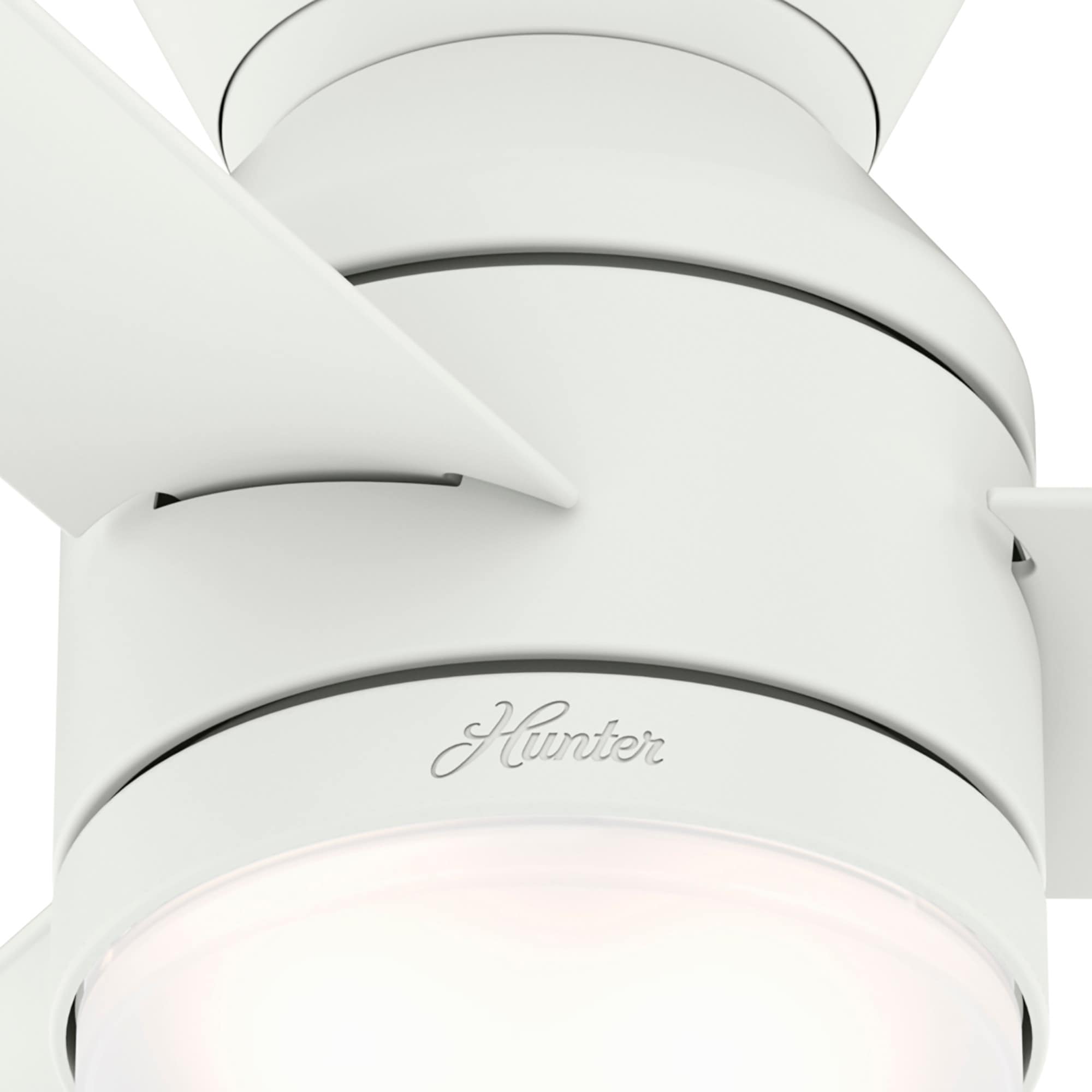 Hunter 50022 Ceiling-Fans - View #14