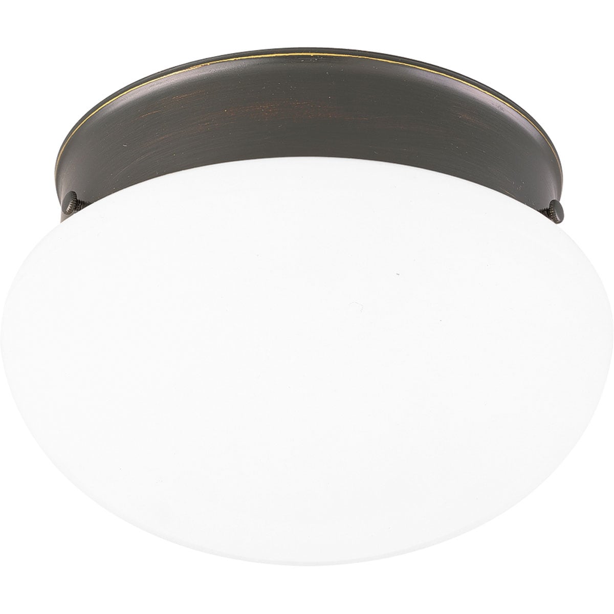 Progress Lighting P3410-20 Fitter 2 -Light 9.5-in Antique Bronze Flush Mount Light