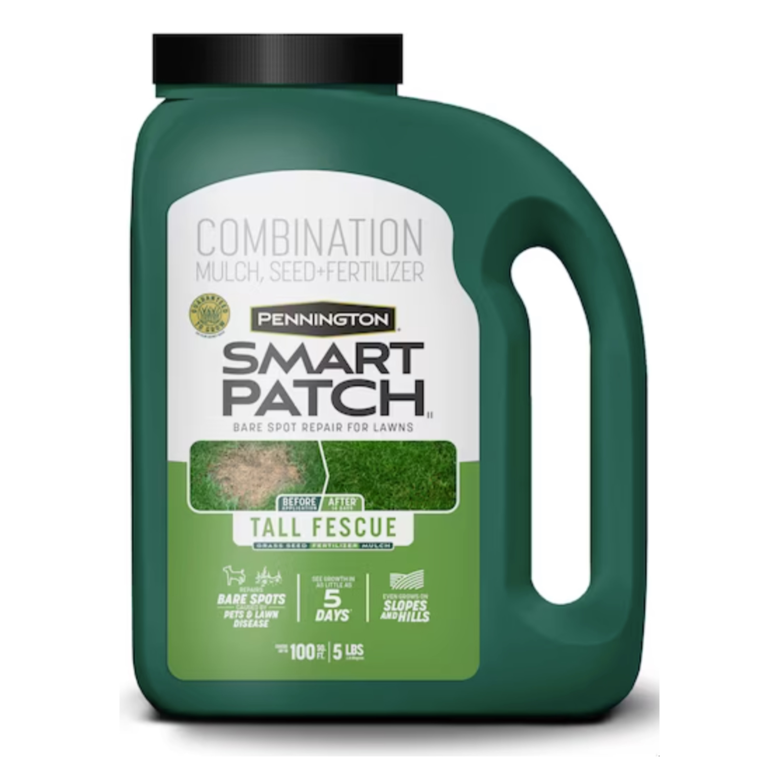 Pennington 100550683 5-lb Tall Fescue Lawn Repair Mix
