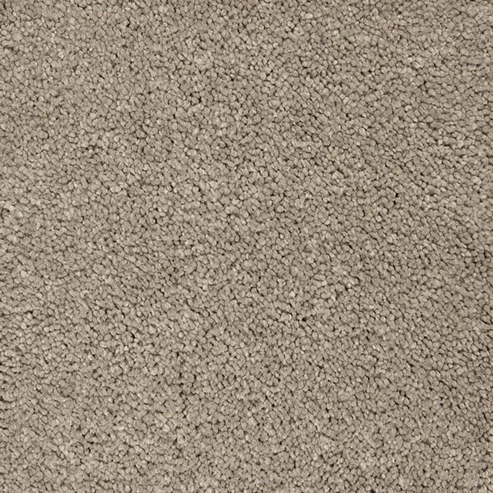 STAINMASTER PetProtect STP56-12-L008 Pawfection Carved Stone Brown 70-oz sq yard Triexta Textured Indoor Carpet