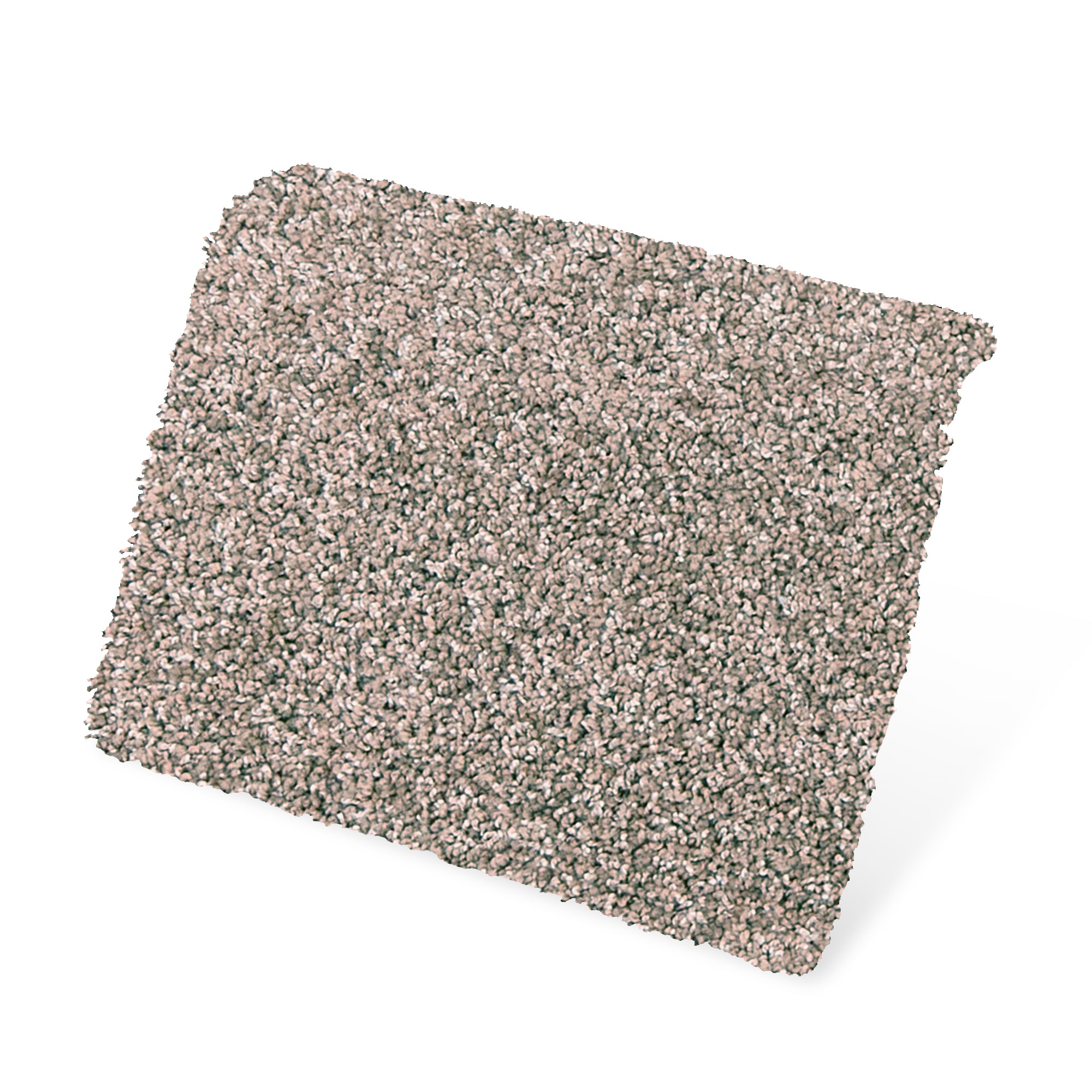 STAINMASTER PetProtect SS057-L011-S0808 Carpet-Samples - View #3