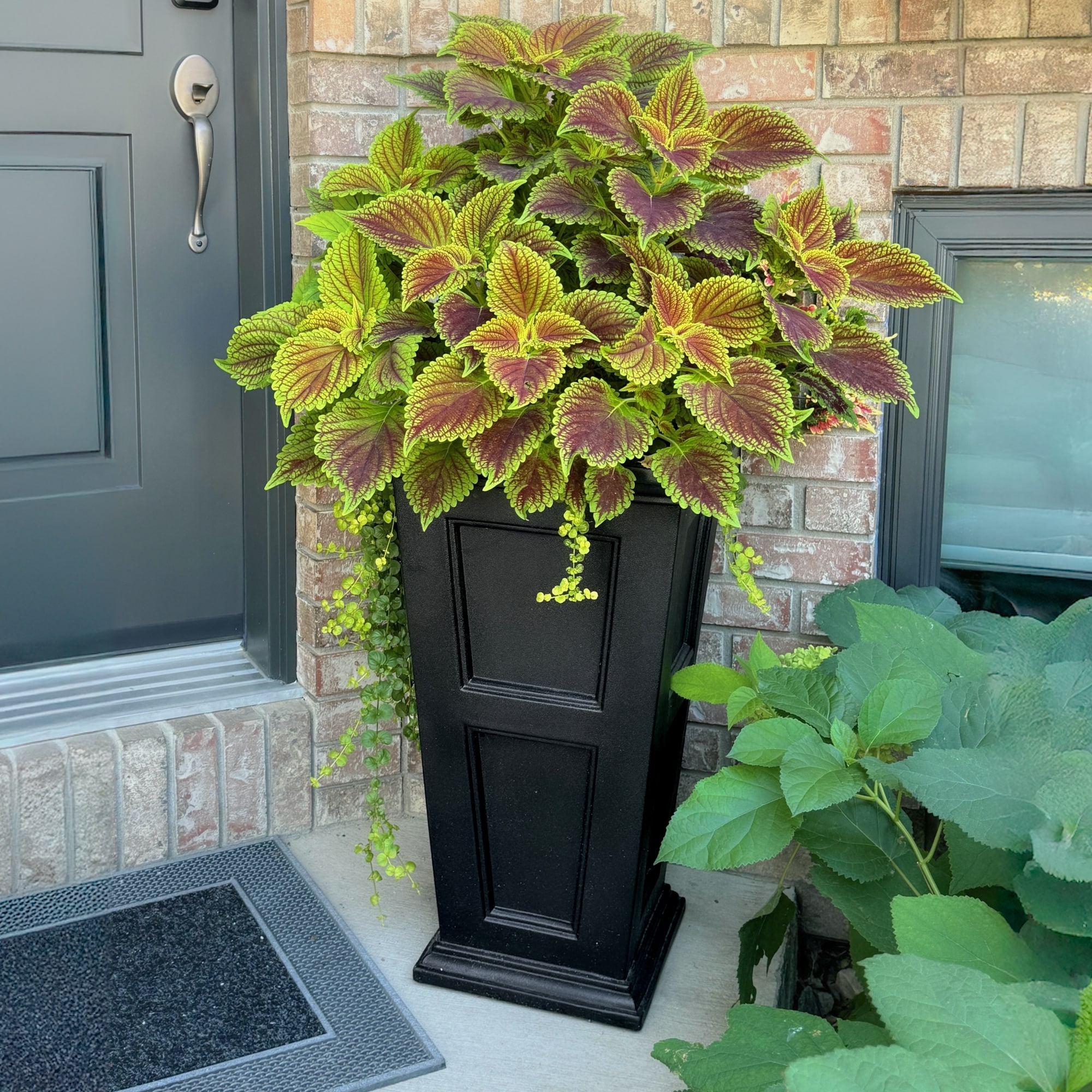 Mayne 5829-B Planter-Window-Box - View #13