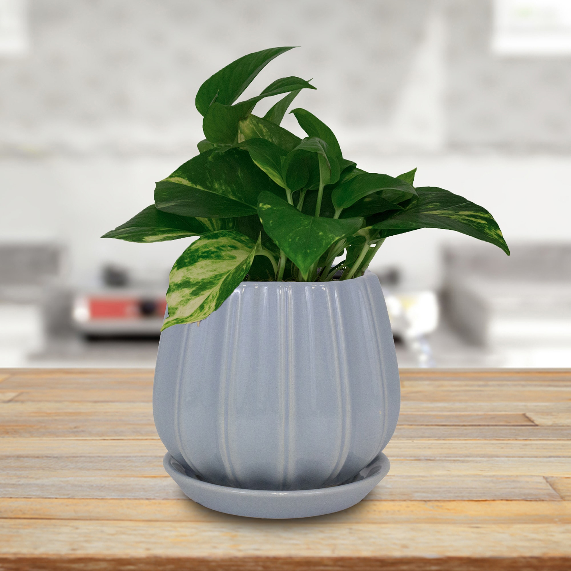 Trendspot LECR01137S-08M2 Planter-Window-Box - View #2