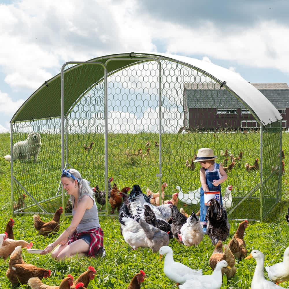 Qeetex WLS-PHO-159PFDNI Chicken-Coops-Rabbit-Hutches - View #7