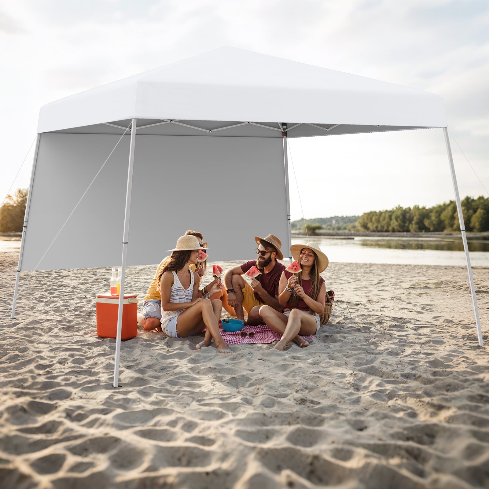 Slickblue D-CO-HW65521PN Canopies-Sl - View #2