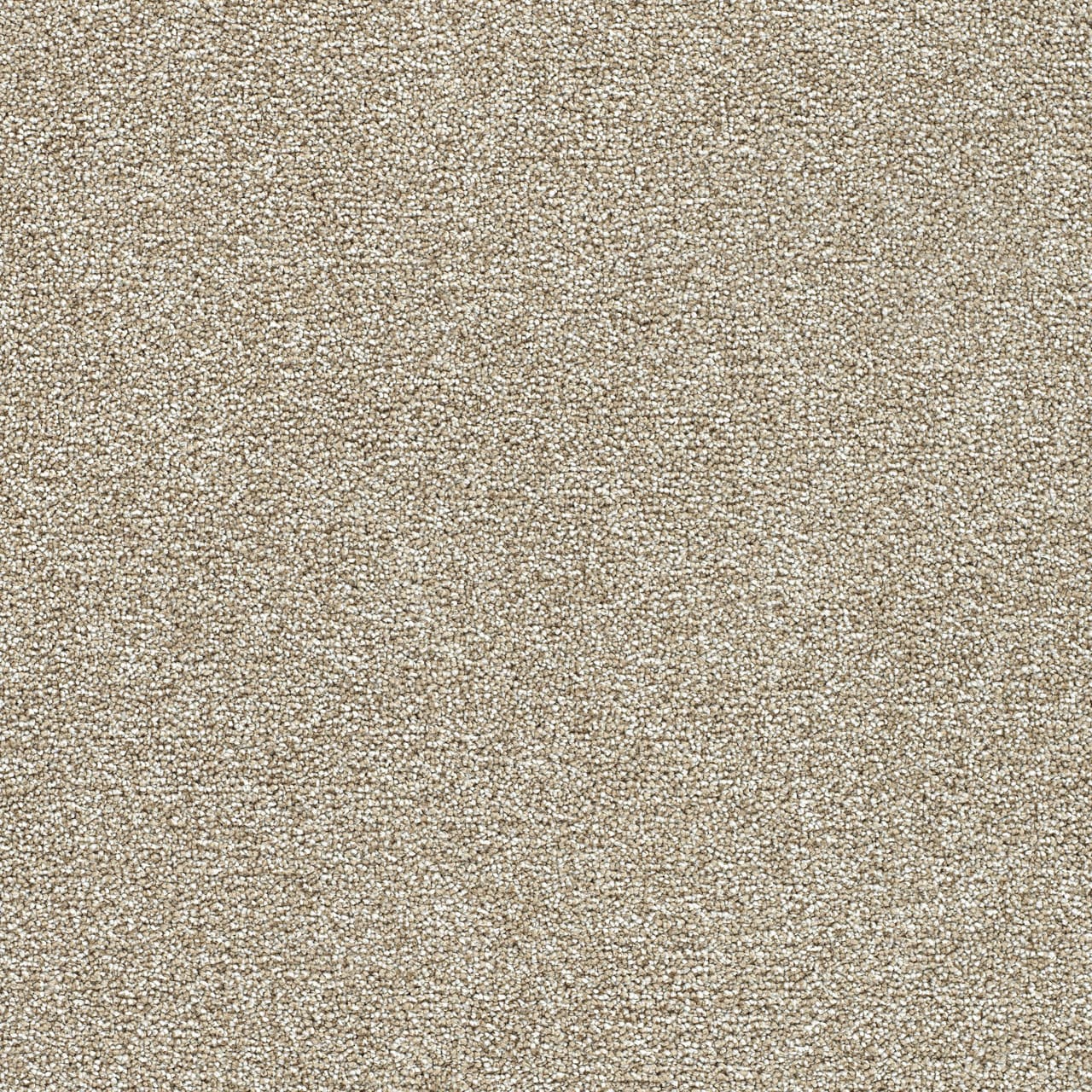 STAINMASTER L5016-1505-1200-AB Over The Moon II Radiant Tan 50-oz sq yard Solution-dyed polyester Textured Indoor Carpet