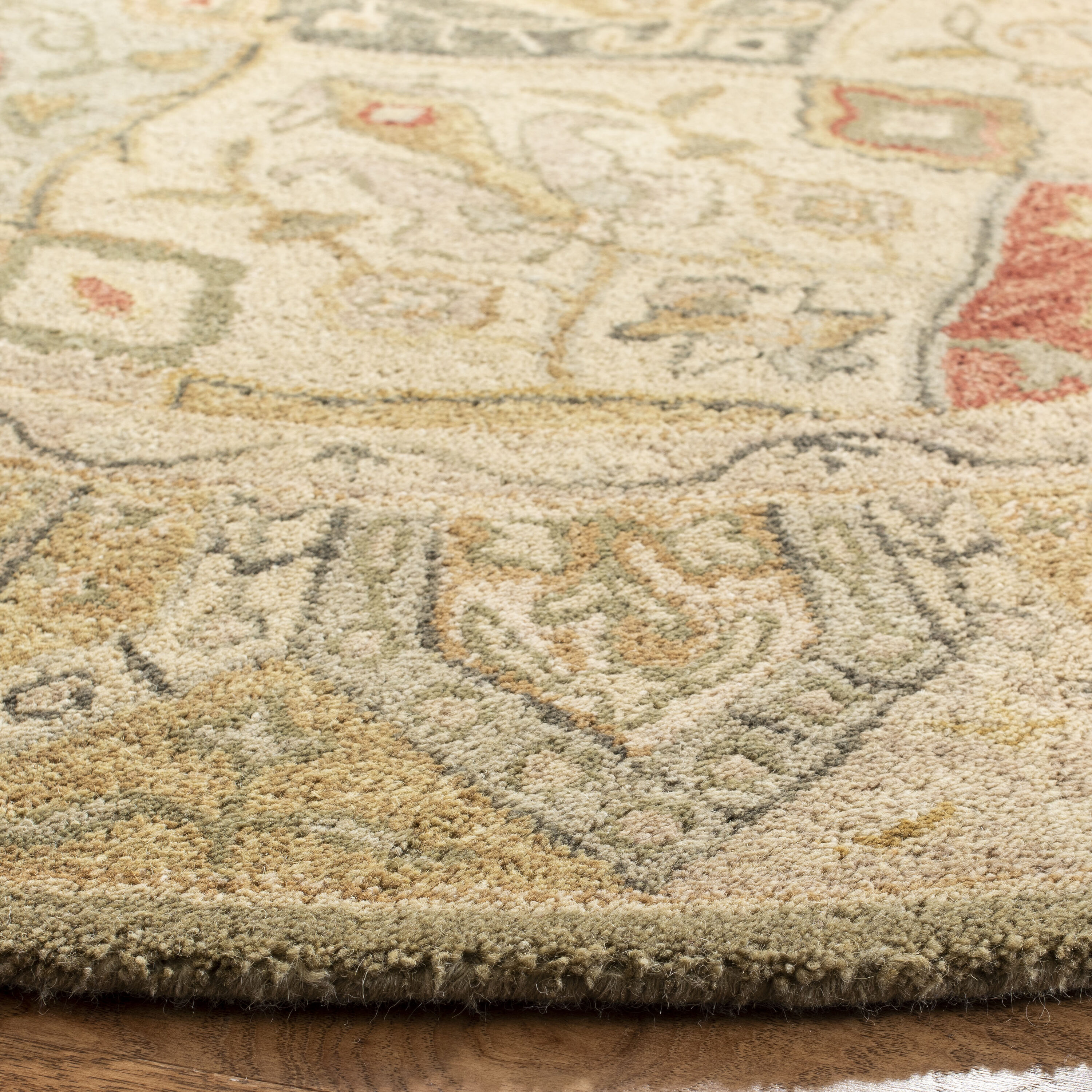 Safavieh AN530A-6R rugs - View #3