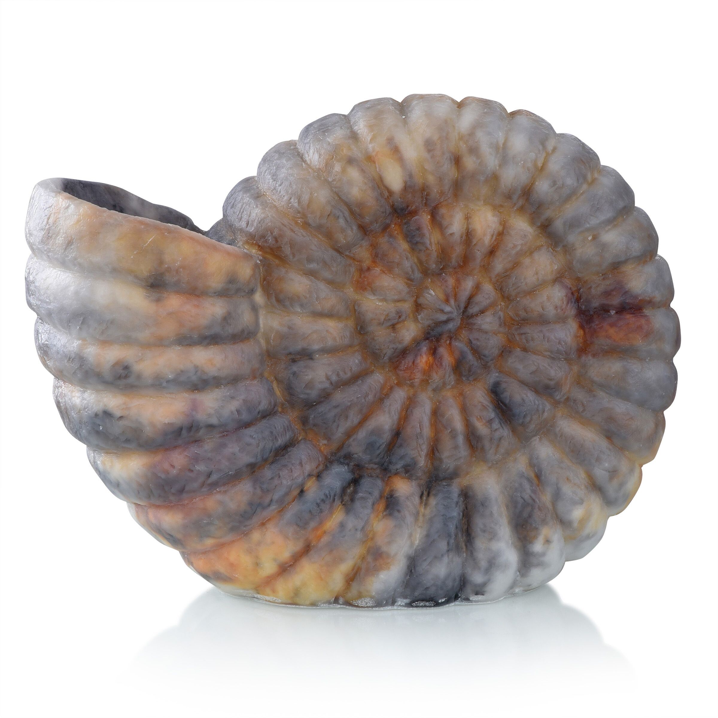 StyleCraft Home Collection L55955DS Natural Conch Natural On/Off Switch Table Lamp with No Shade