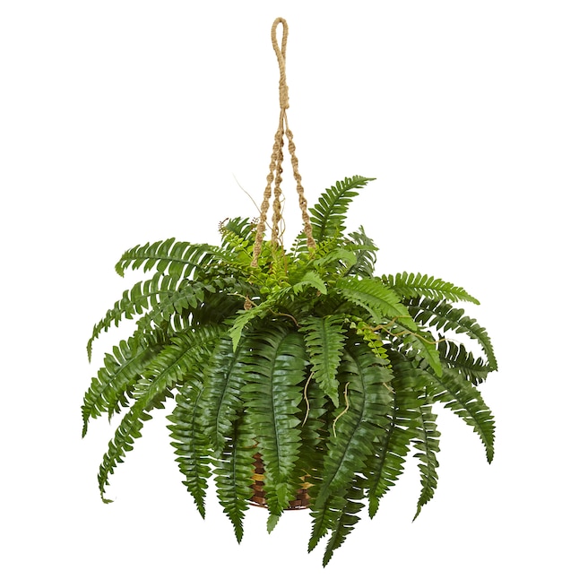 Nearly Natural 33-in Green Indoor Hanging Artificial Boston Fern Artificial  Plant in the Artificial Plants & Flowers department at