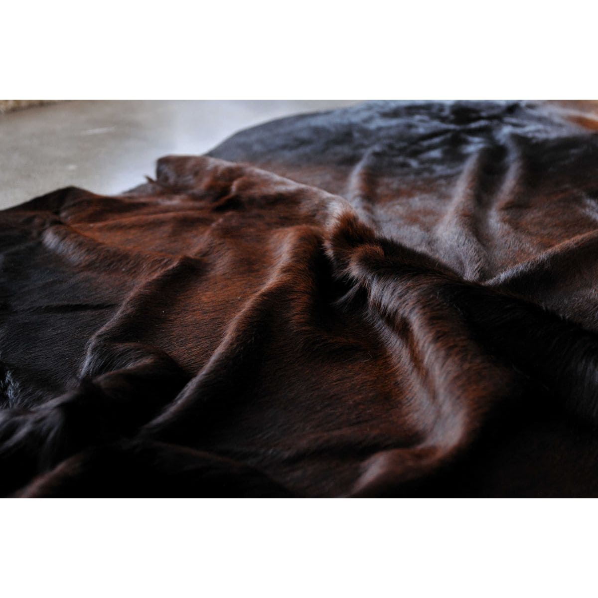 HomeRoots 317317 rugs - View #2