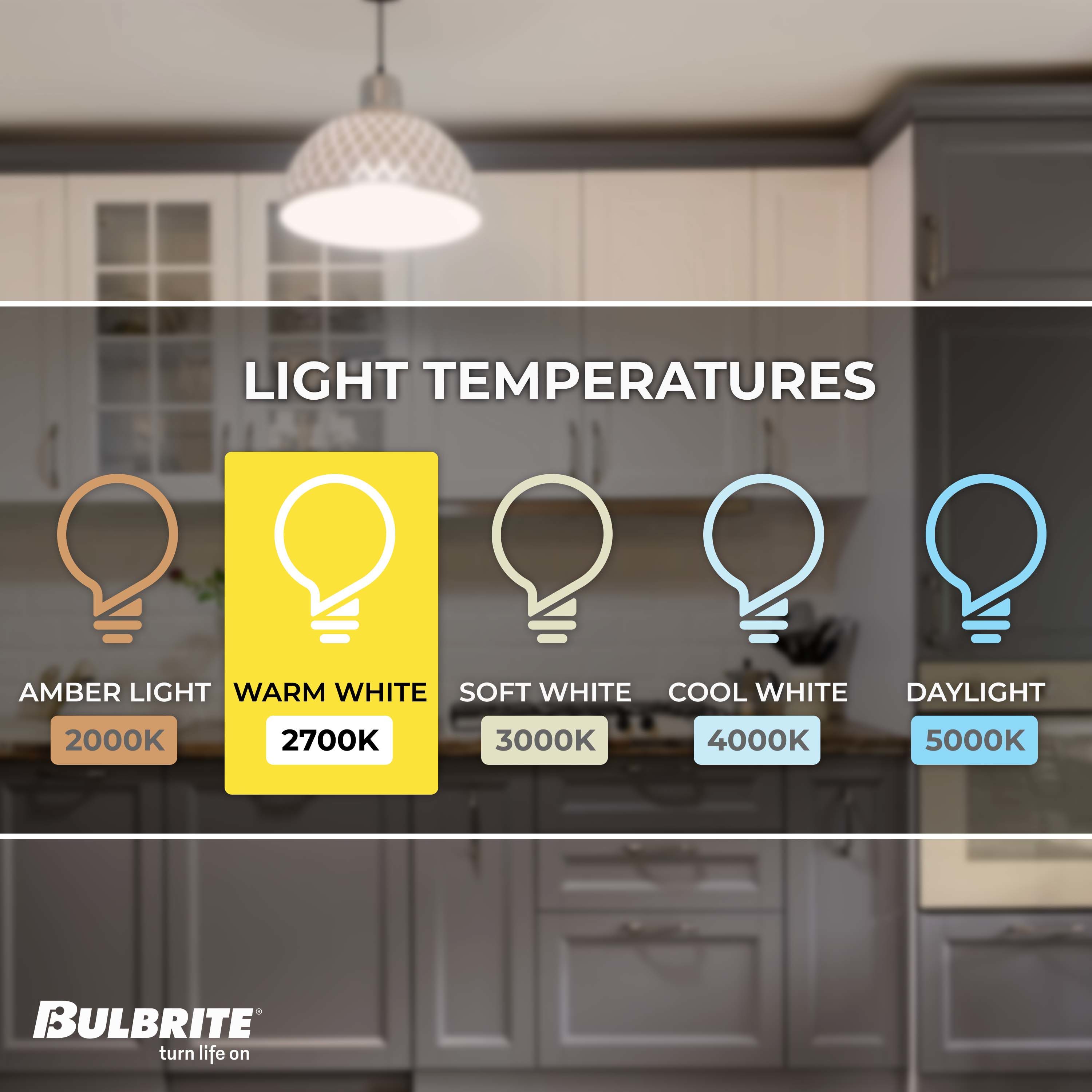 Bulbrite 861021 Dec-Led-Light-Bulbs - View #4