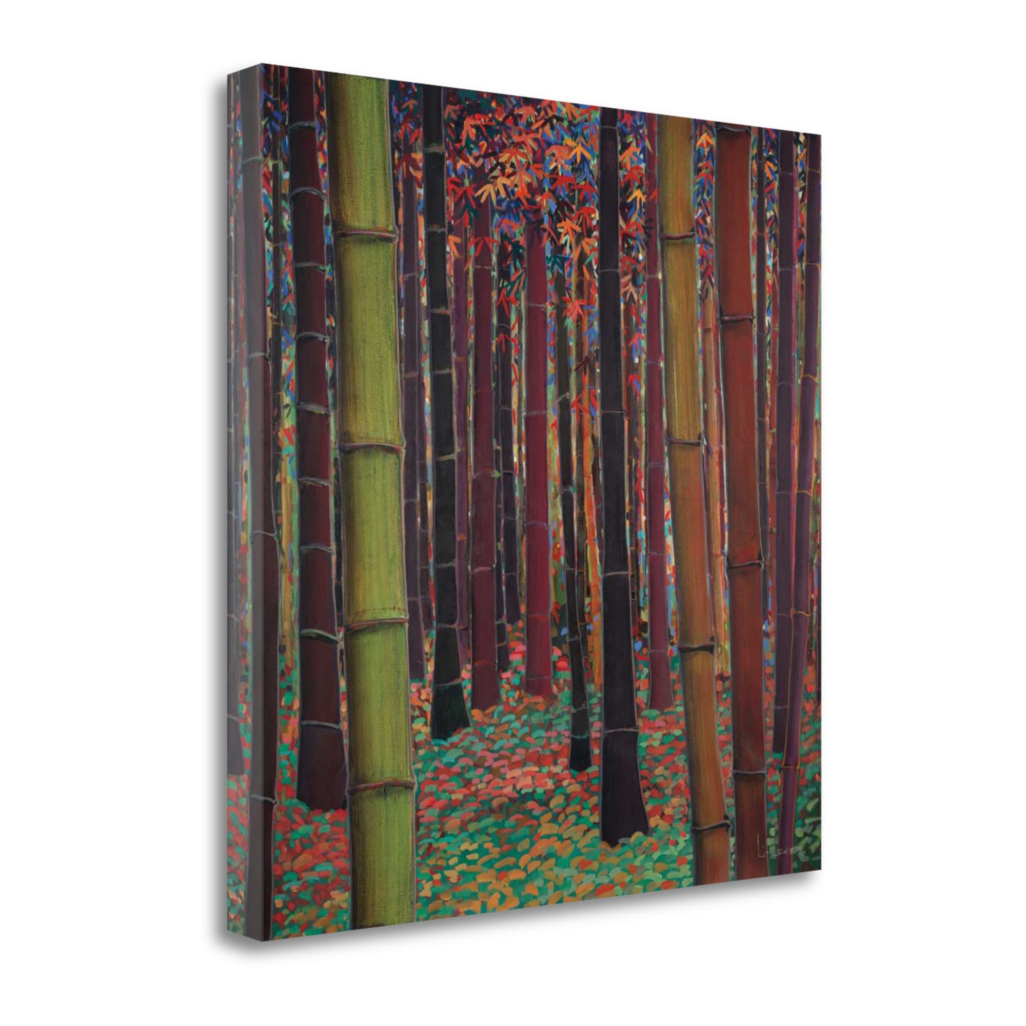 Tangletown Fine Art CA316347-2020C Magical Forest Don Li-leger 20-in H x 20-in W Landscape Print on Canvas