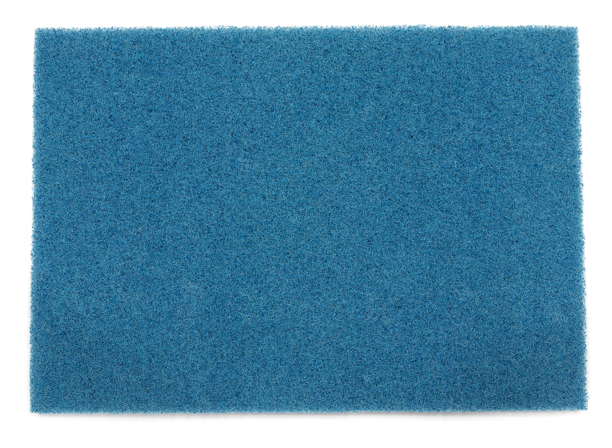 Square Scrub SS P1420BLU-2 20-in Short bristle Floor Polisher Pad Driver