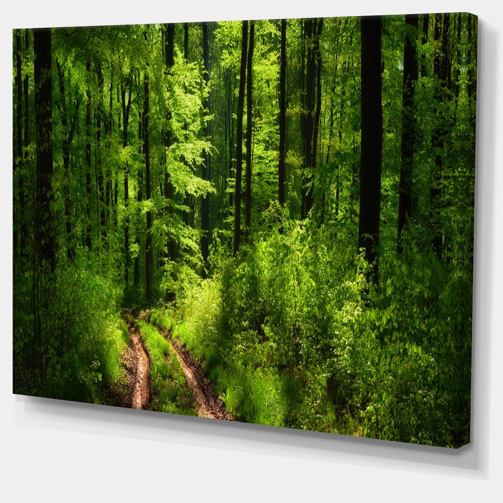 Designart 30-in H x 40-in W Landscape Print on Canvas at Lowes.com