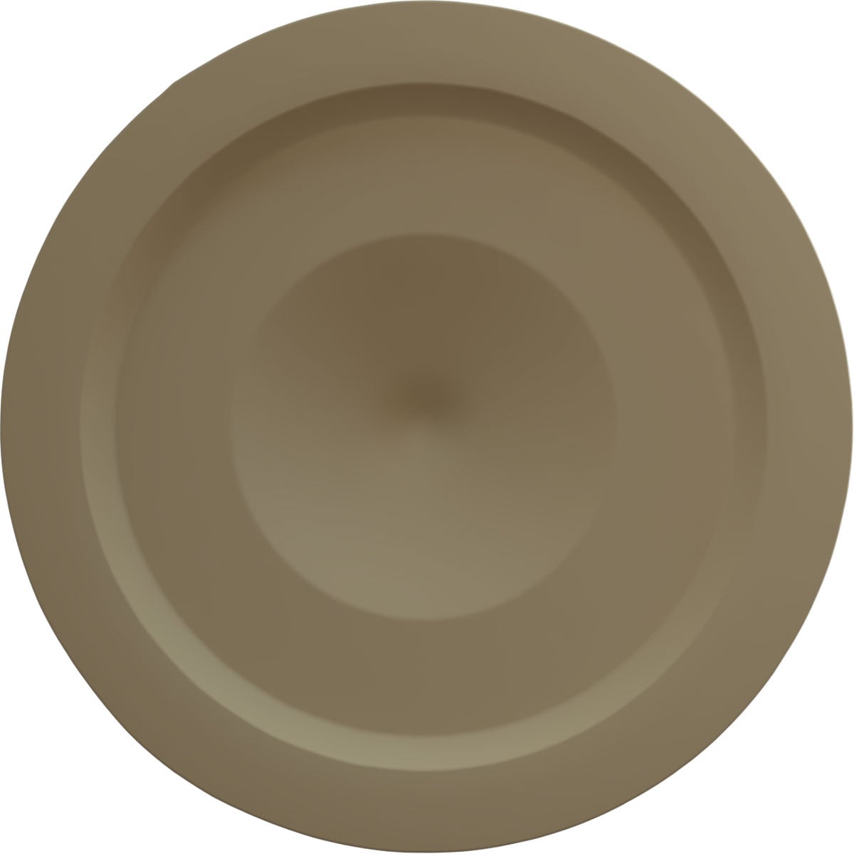Ekena Millwork CM12FLPTF Ceiling-Medallions - View #4