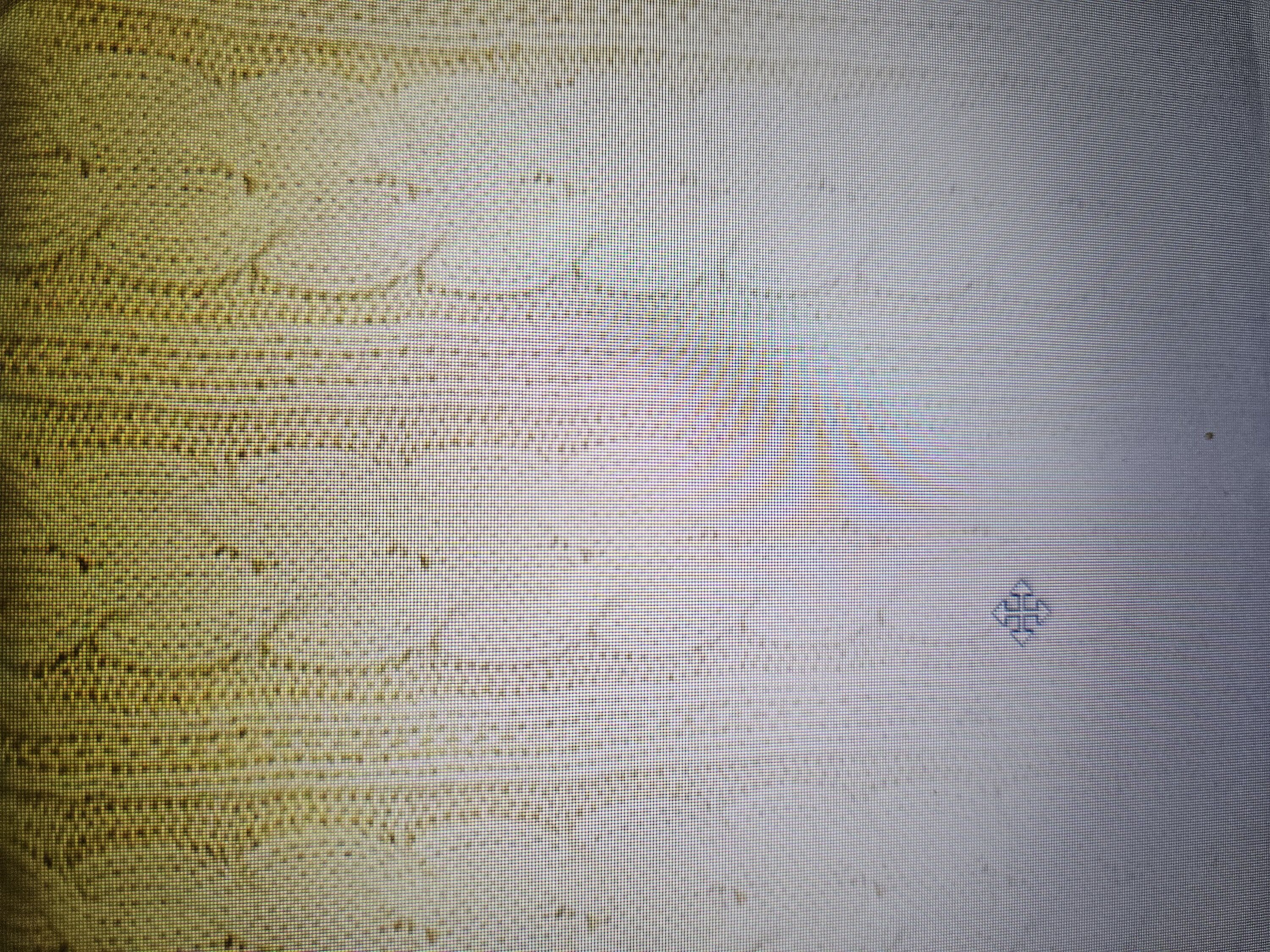 allen + roth WO-Q4BF-TH01 Blankets-And-Throws - View #8