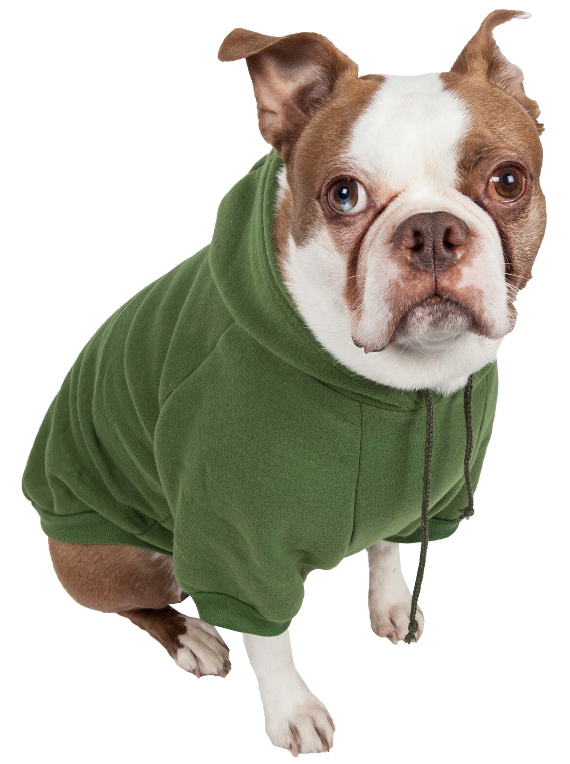 Gap Pet, Dog Clothes, Green Classic Pet Hoodie, Size: Small