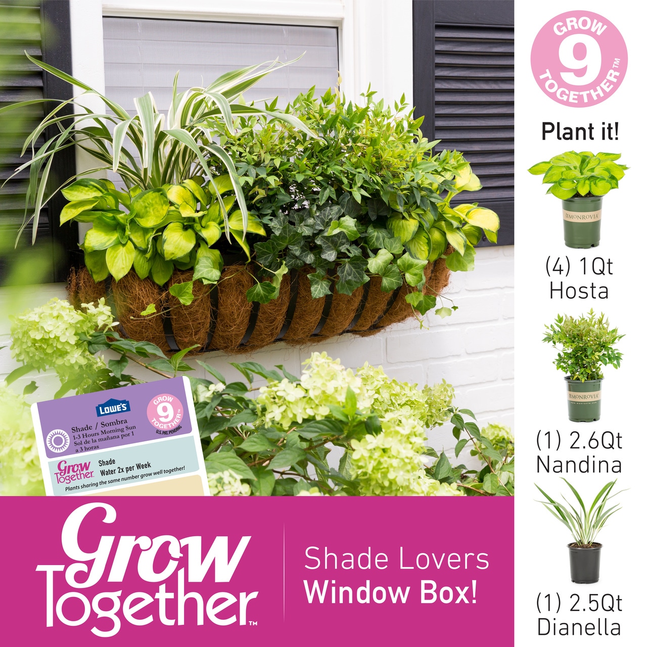 Metrolina Greenhouses 78491 perennials - View #4