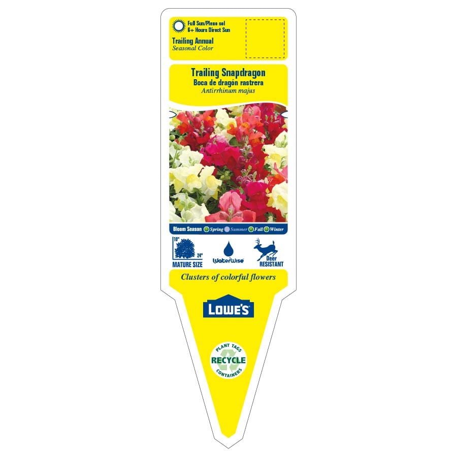 Lowe's 1-4223 annuals - View #3