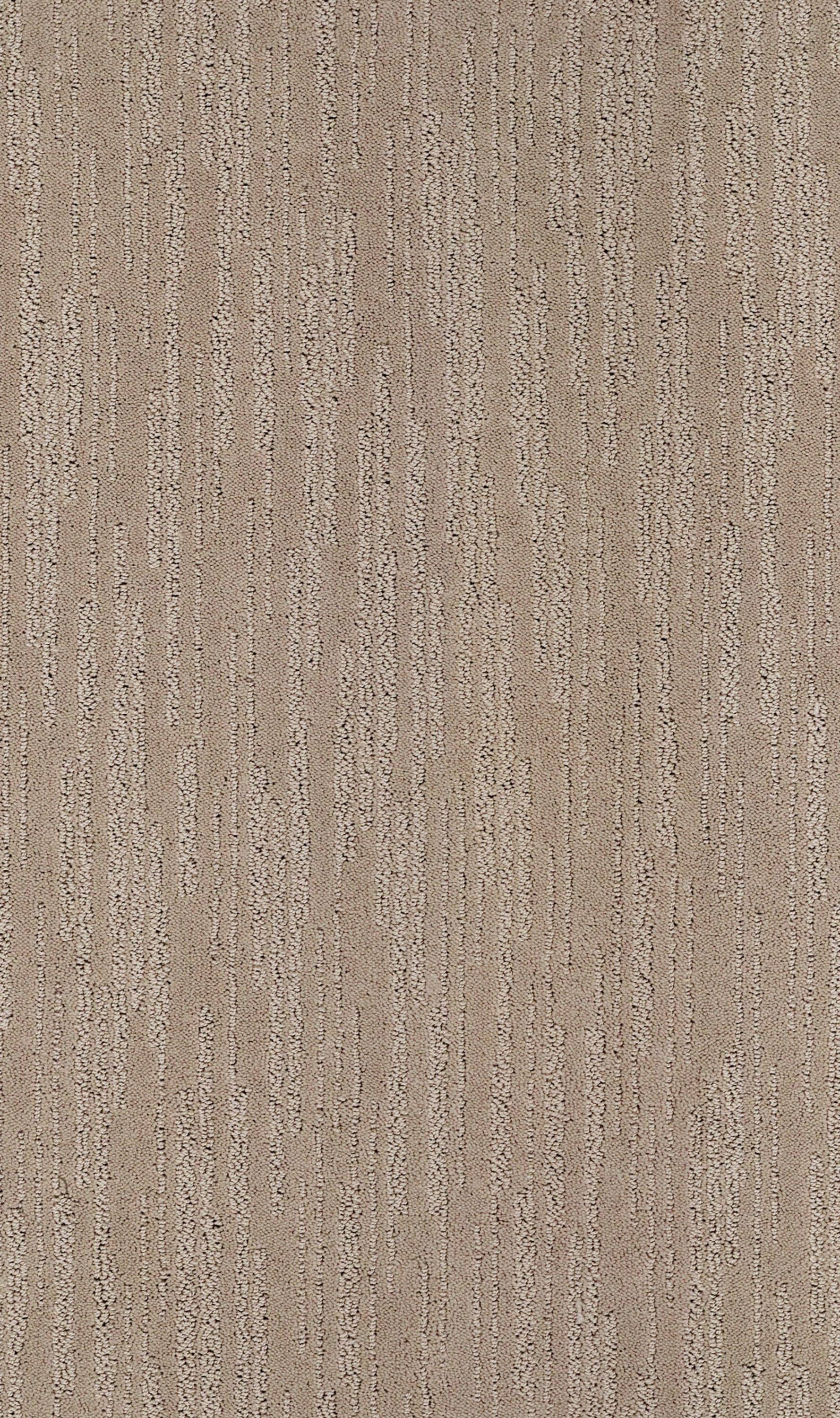 STAINMASTER PetProtect 7L853 - 733 - SAMP (Sample) Weekend Retreat Tumbleweed Brown 39-oz sq yard Nylon Pattern Indoor Carpet