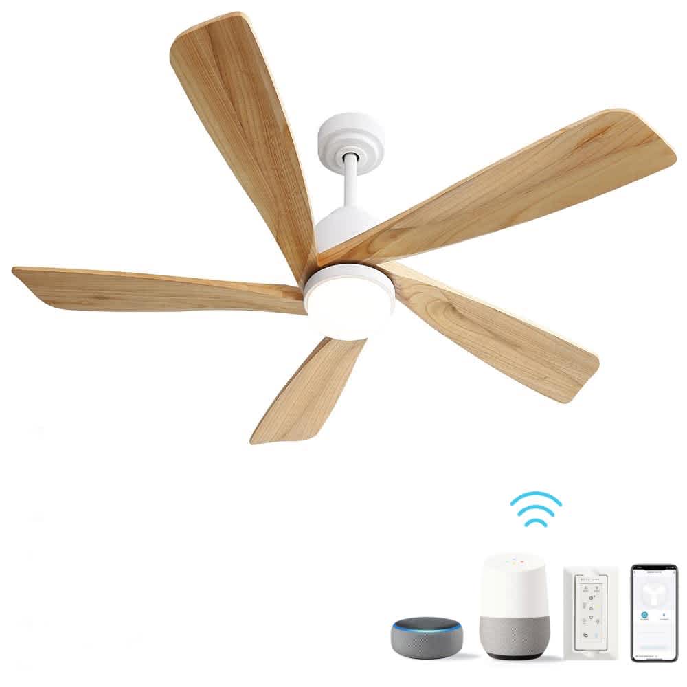 JUJABU FAN-3 Ceiling-Fans - View #4