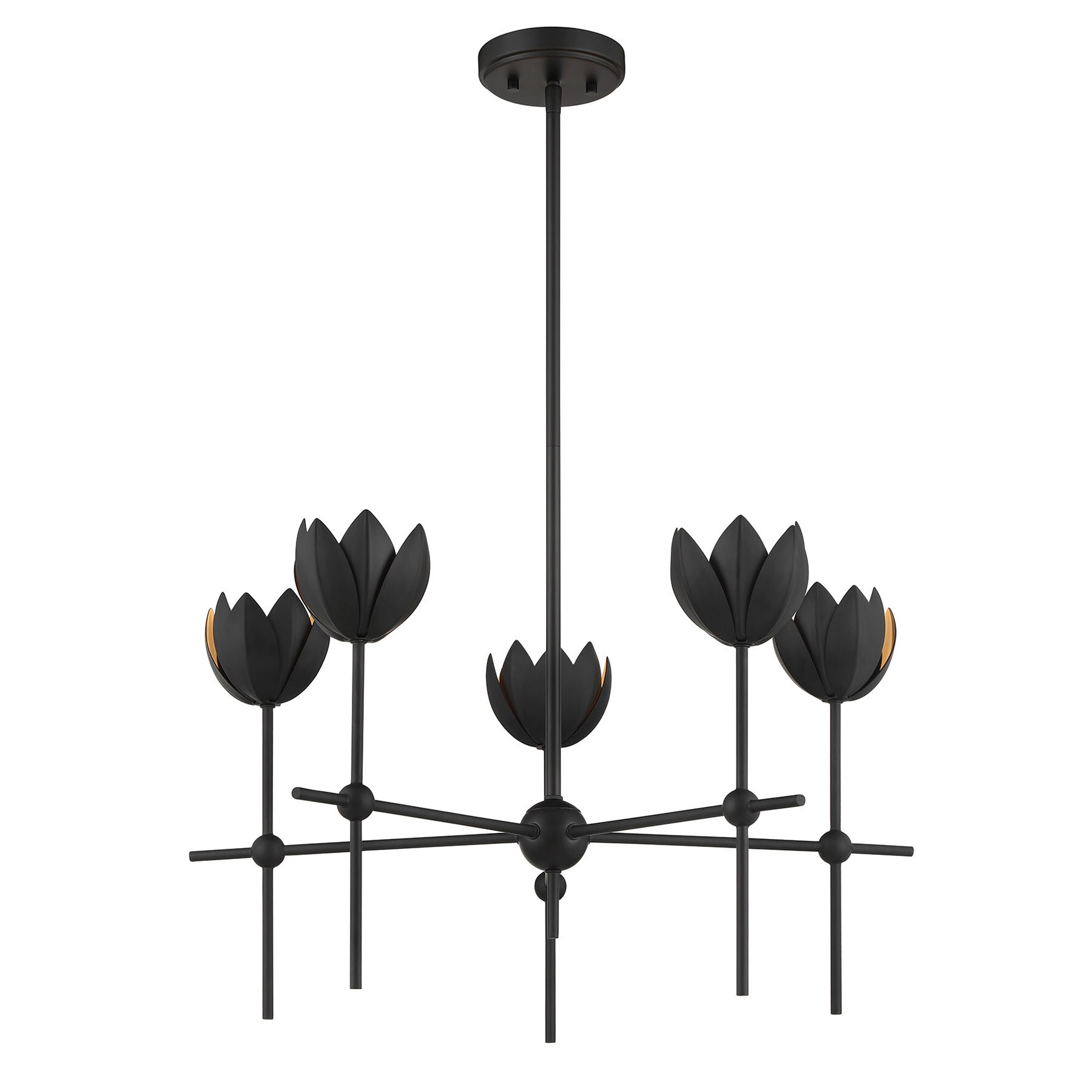 Meridian Lite Trends M100131MBK b090015 - View #3