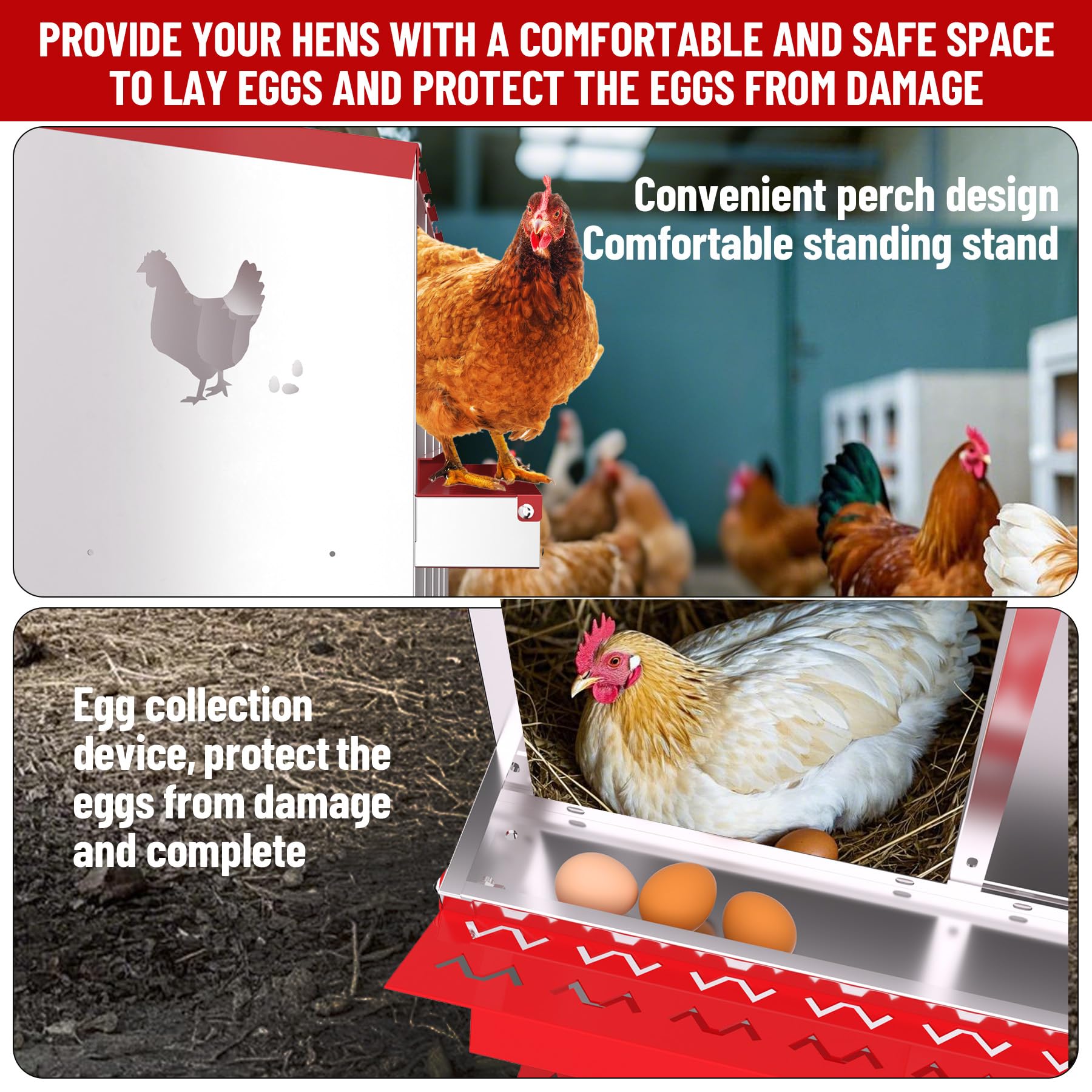DEXSO ENCOREPHOBA7553 Chicken-Coops-Rabbit-Hutches - View #4
